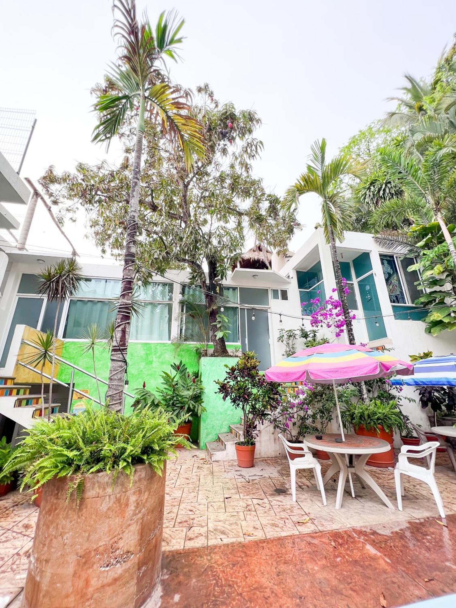 Ith Sayulita Amazing Surf Hostel Hostel *