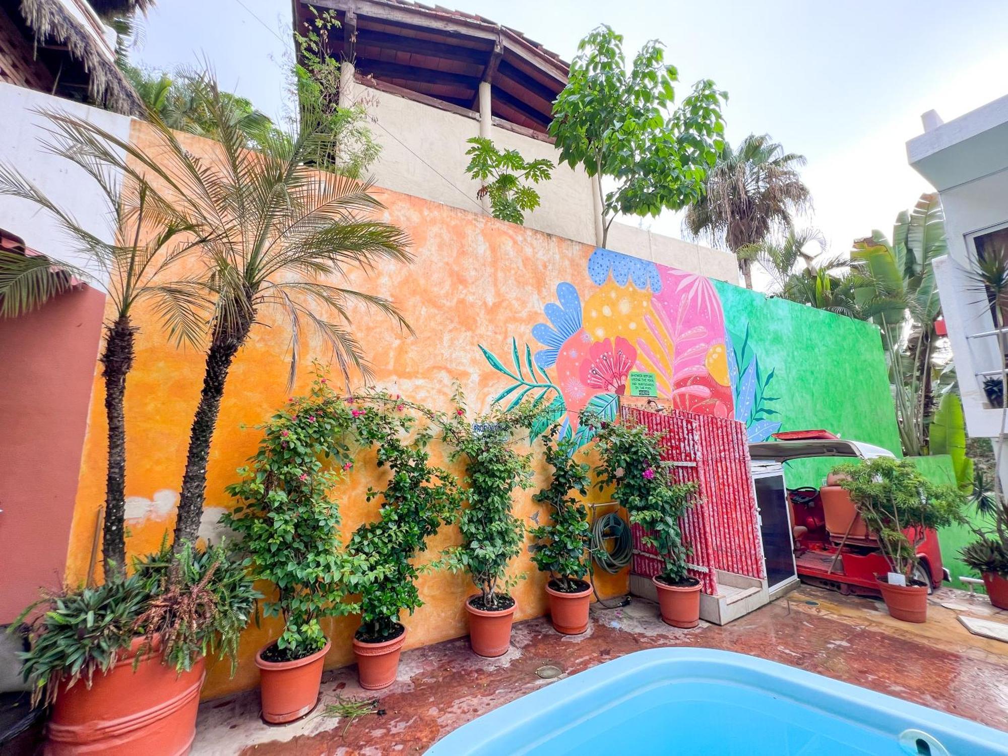 Ith Sayulita Amazing Surf Hostel