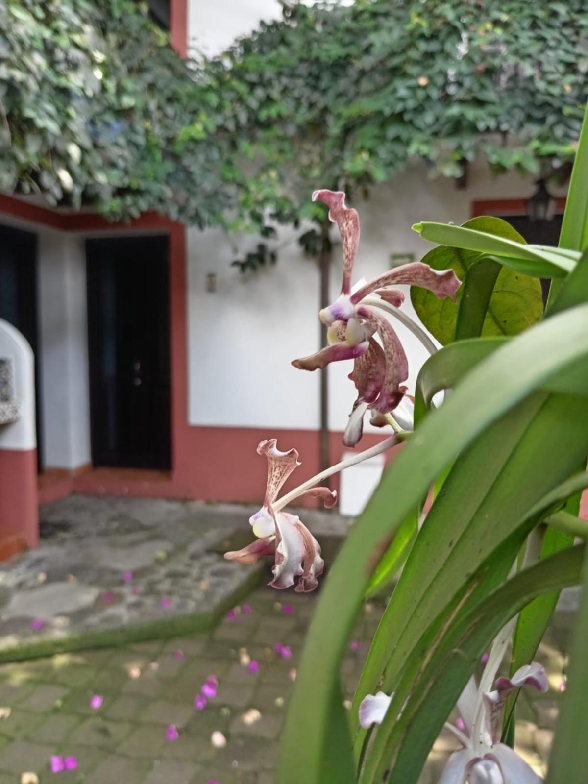 Boutique Casabella Coatepec (Veracruz)