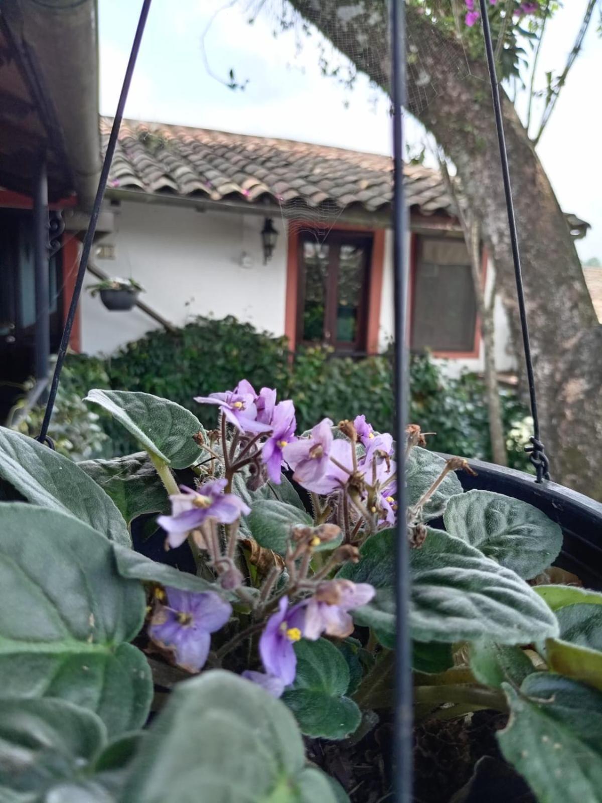 Boutique Casabella Hotel Coatepec (Veracruz)