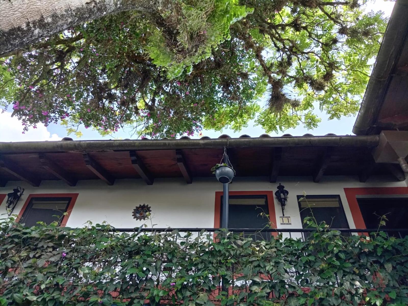 Boutique Casabella Hotel
