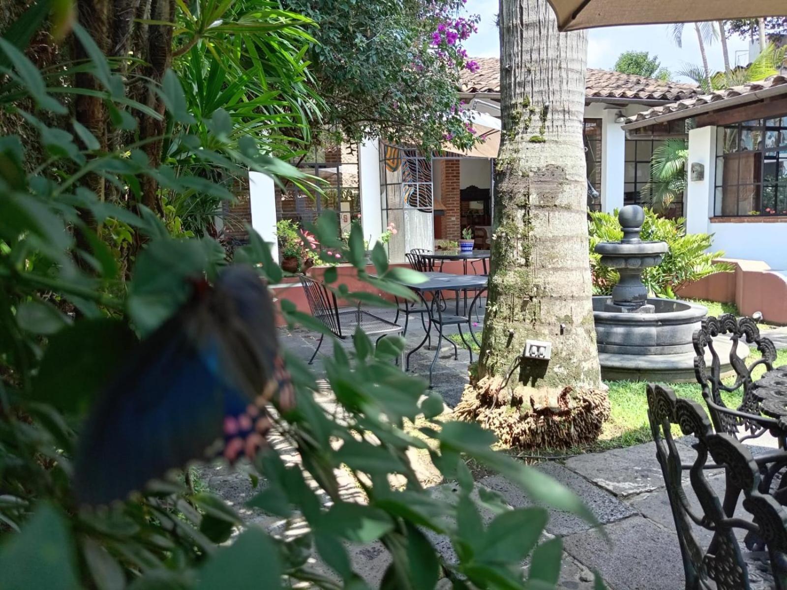 Boutique Casabella Hotel Coatepec (Veracruz)