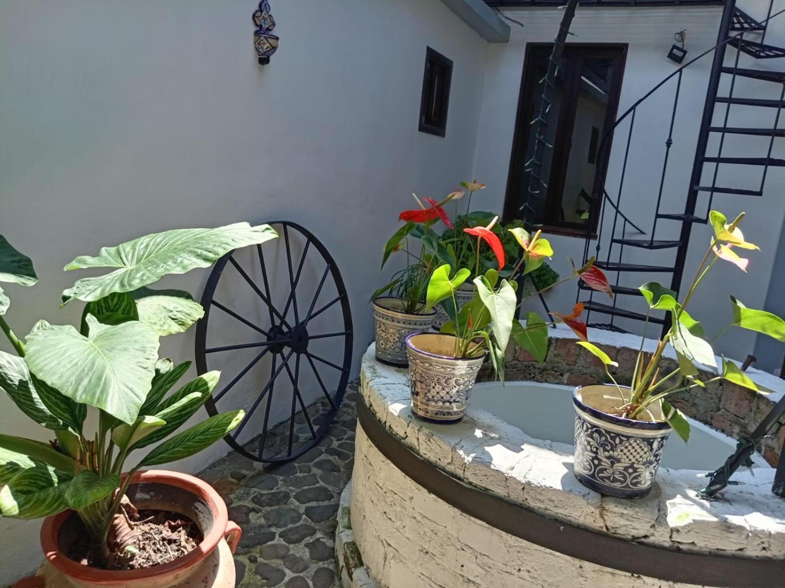Boutique Casabella Hotel 4*