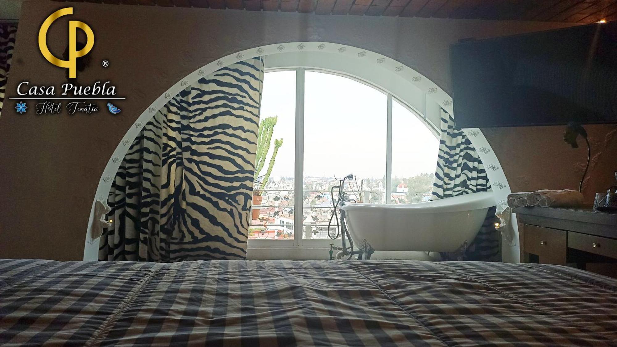 Tematico Casa Puebla