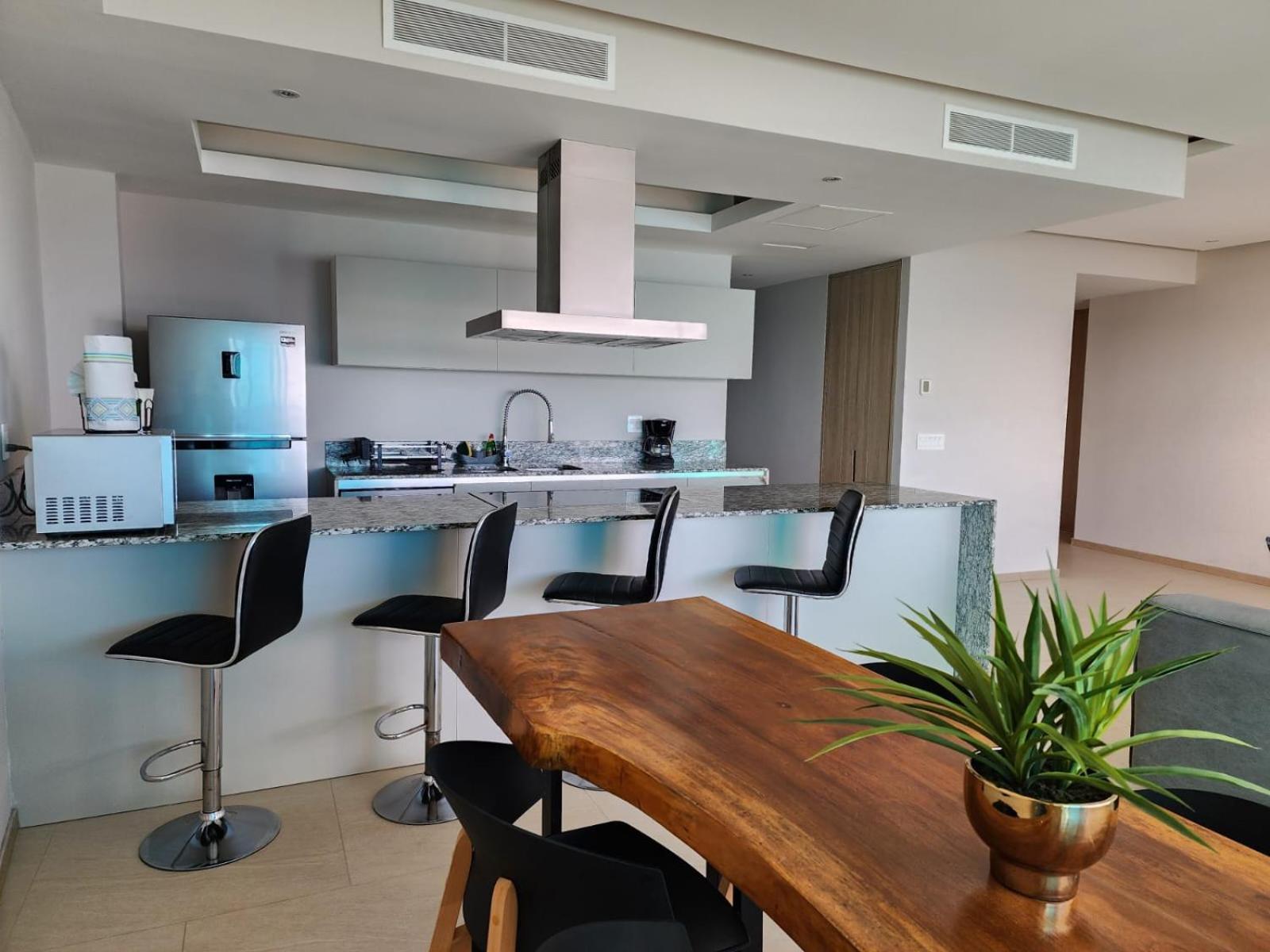 Ixtapa Peninsula Apartment
