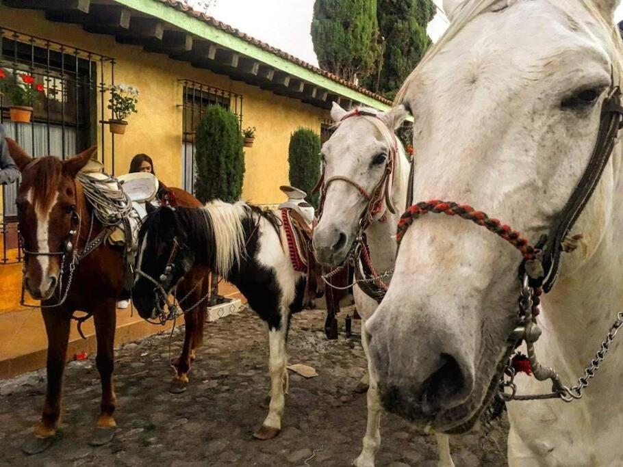 Casa Margarita , La Fuente De La Luna * Tequisquiapan