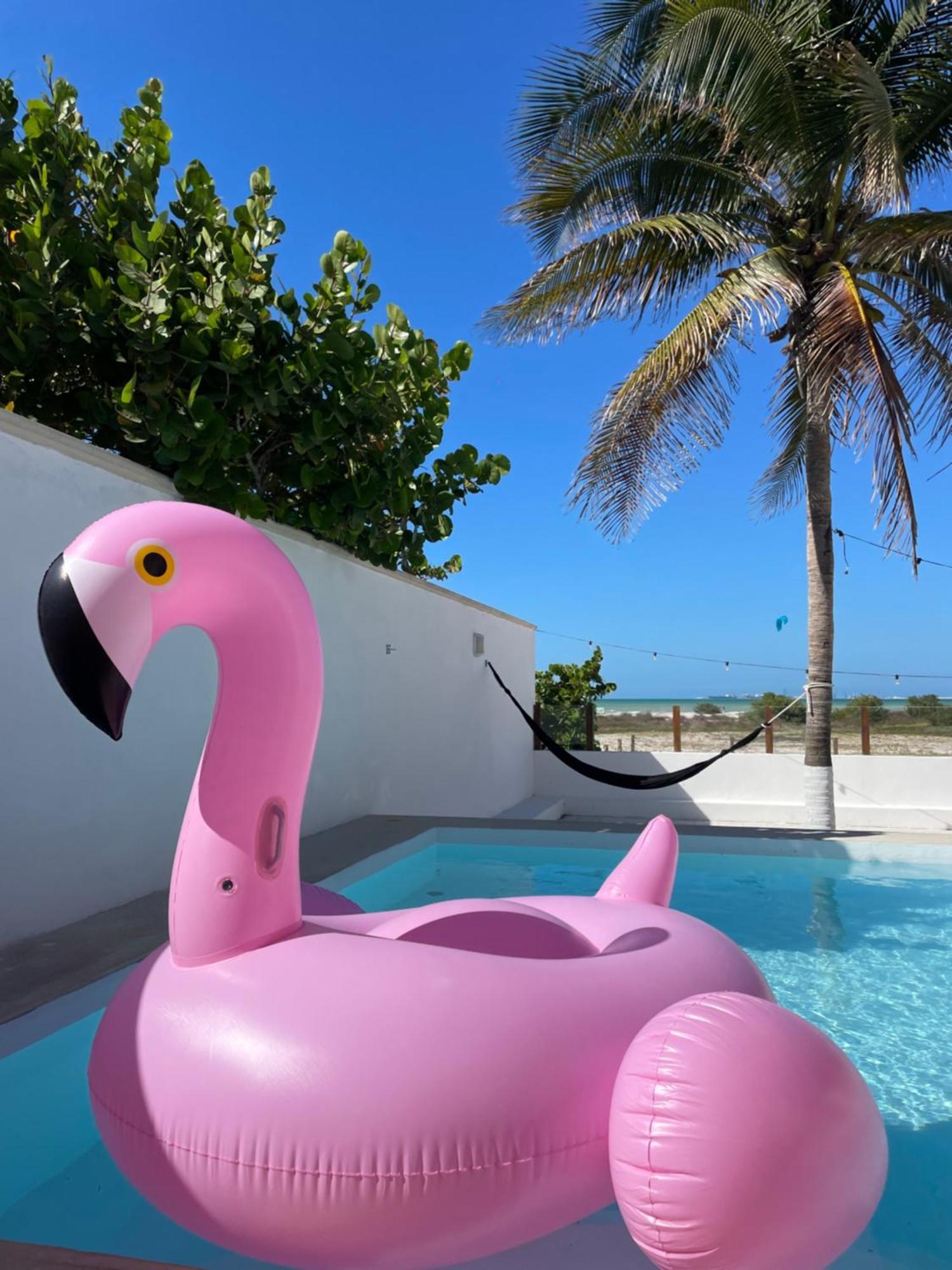 Soflo Kite Mexico Guest house