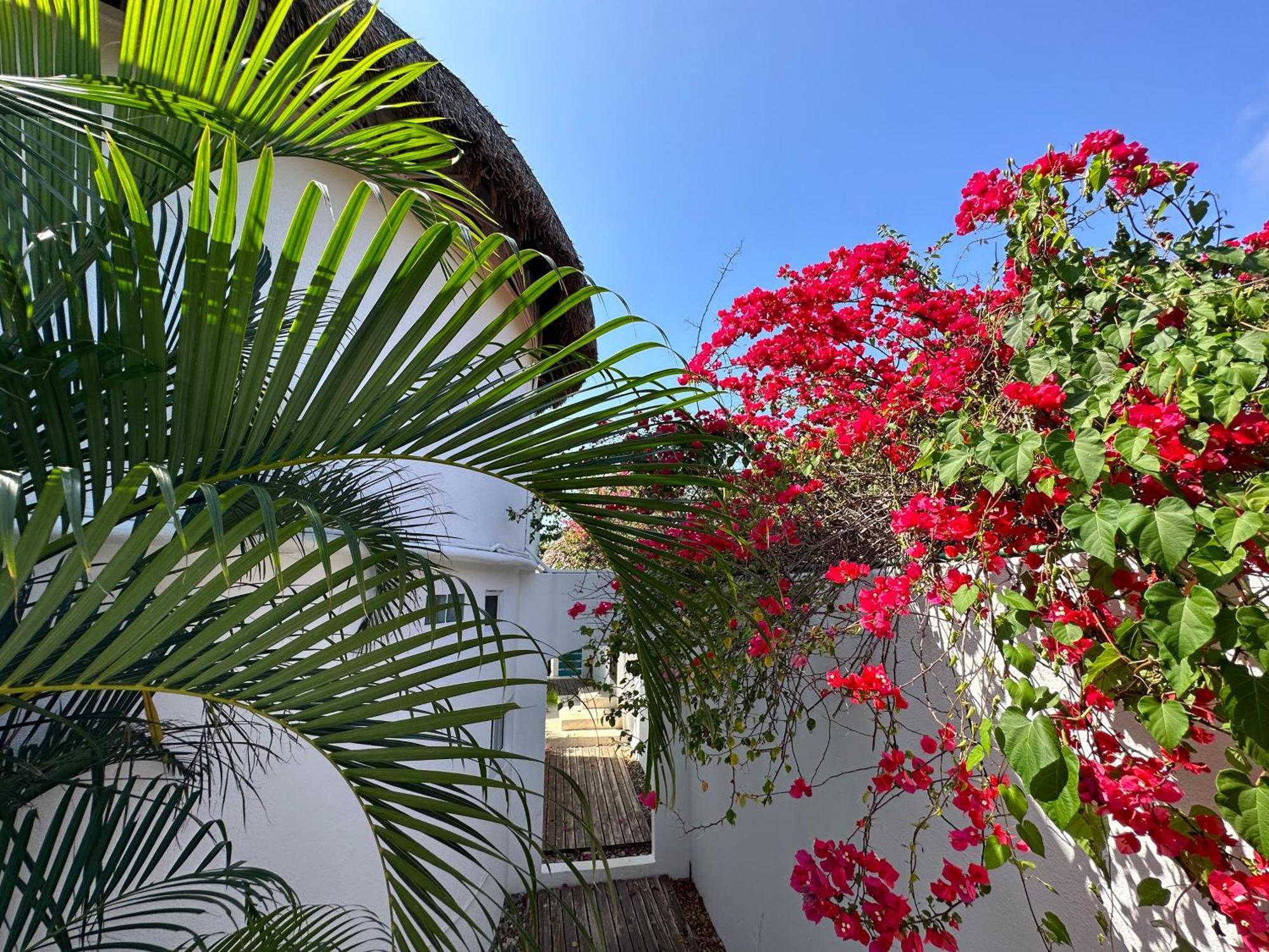 Beachfront Paradise Boutique Bed & Breakfast 4*
