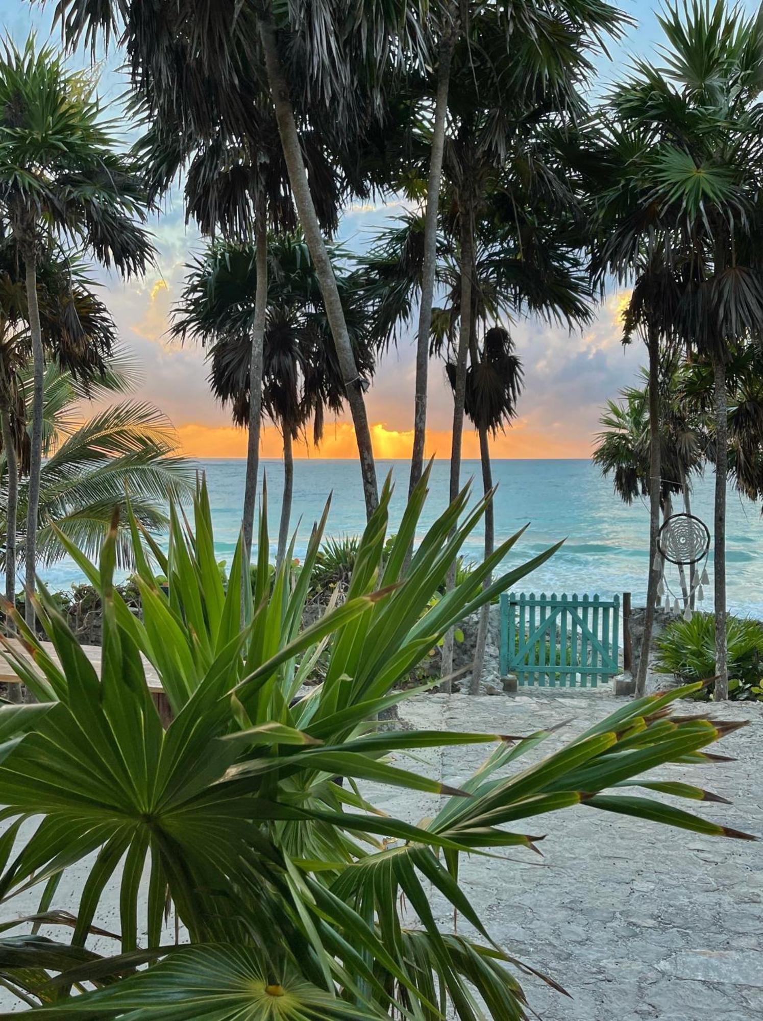 Casa De Mar, Tulum, Hermosa Privada A La Orilla Del Mar Con Cocina