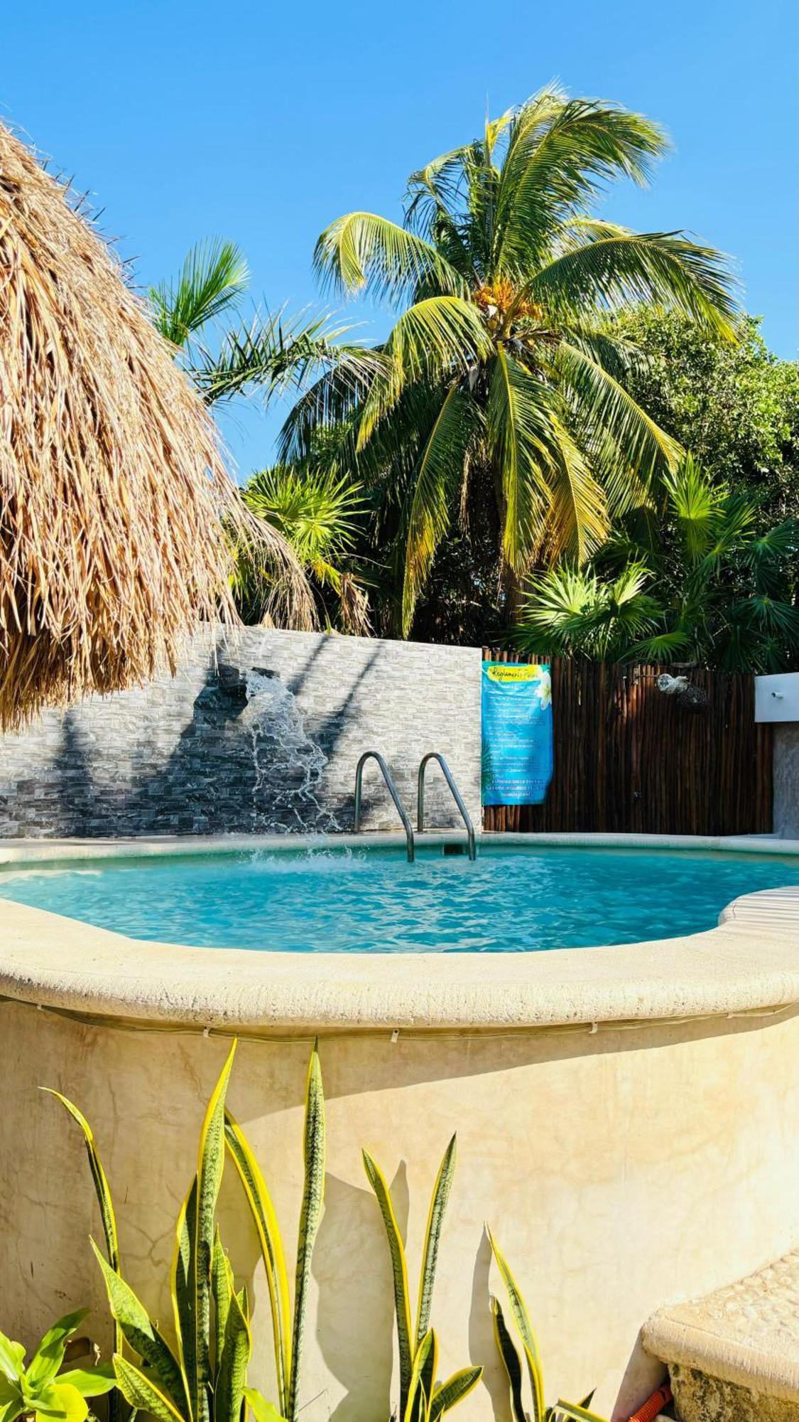 Casa Delfines Hotel 4*