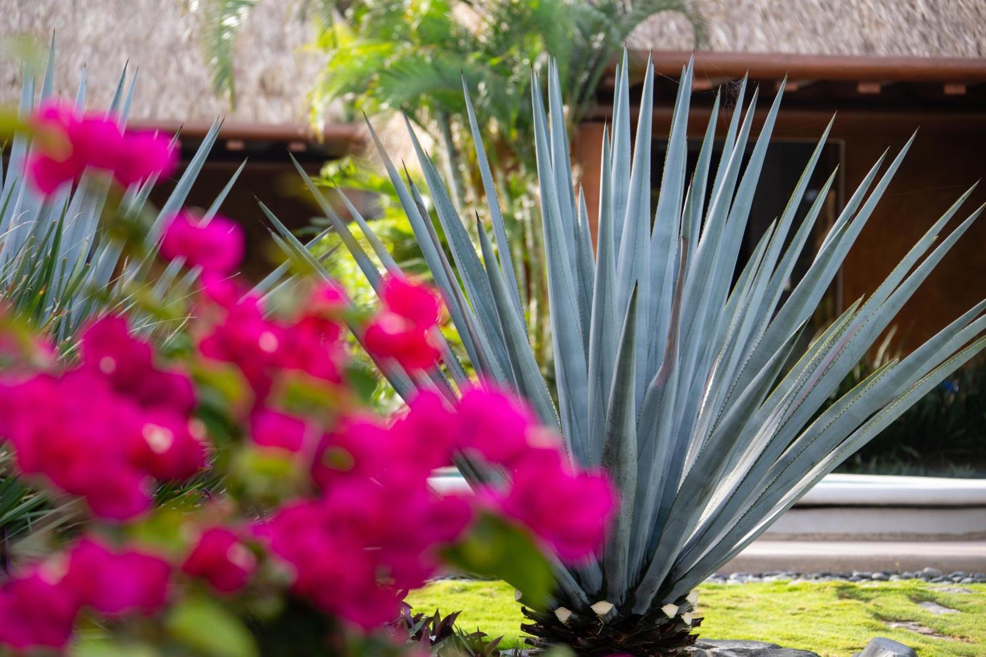 The Inn Manzanillo Bay *