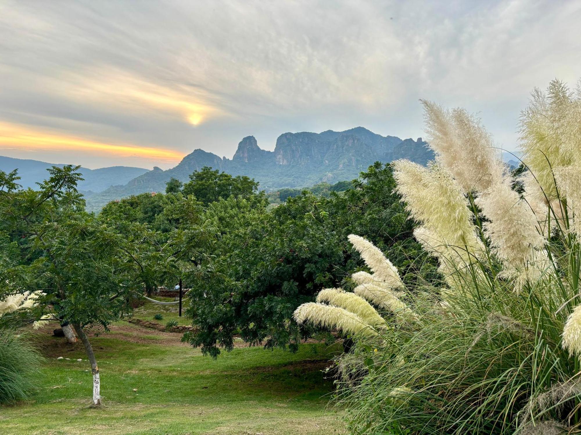 Amara Lodge Tepoztlan