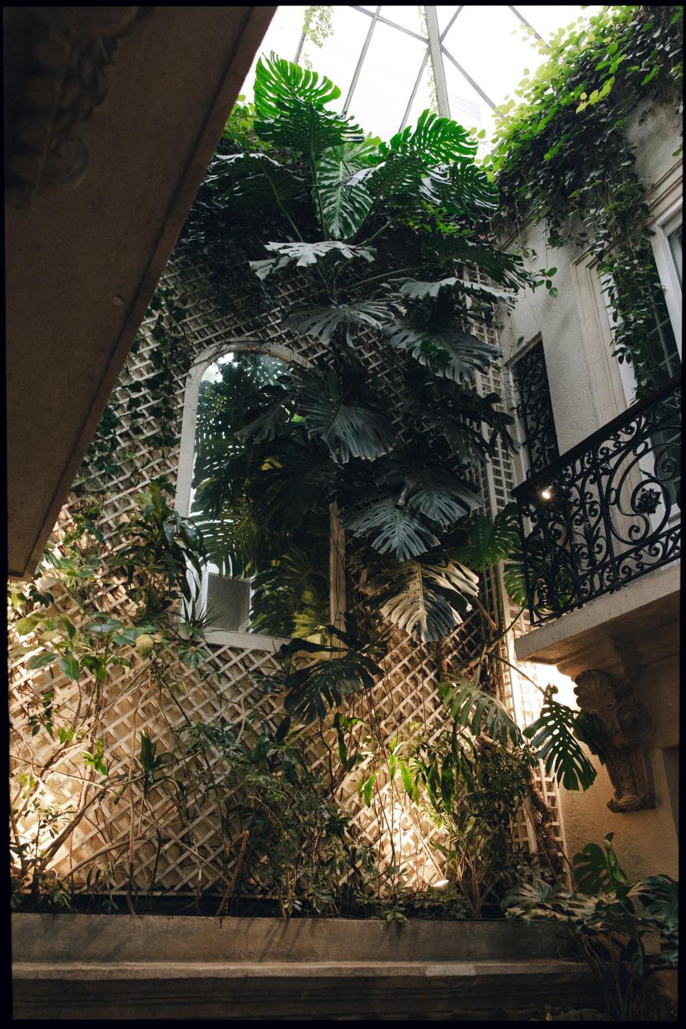 Nima Local House Hotel & Spa 4* Mexico City