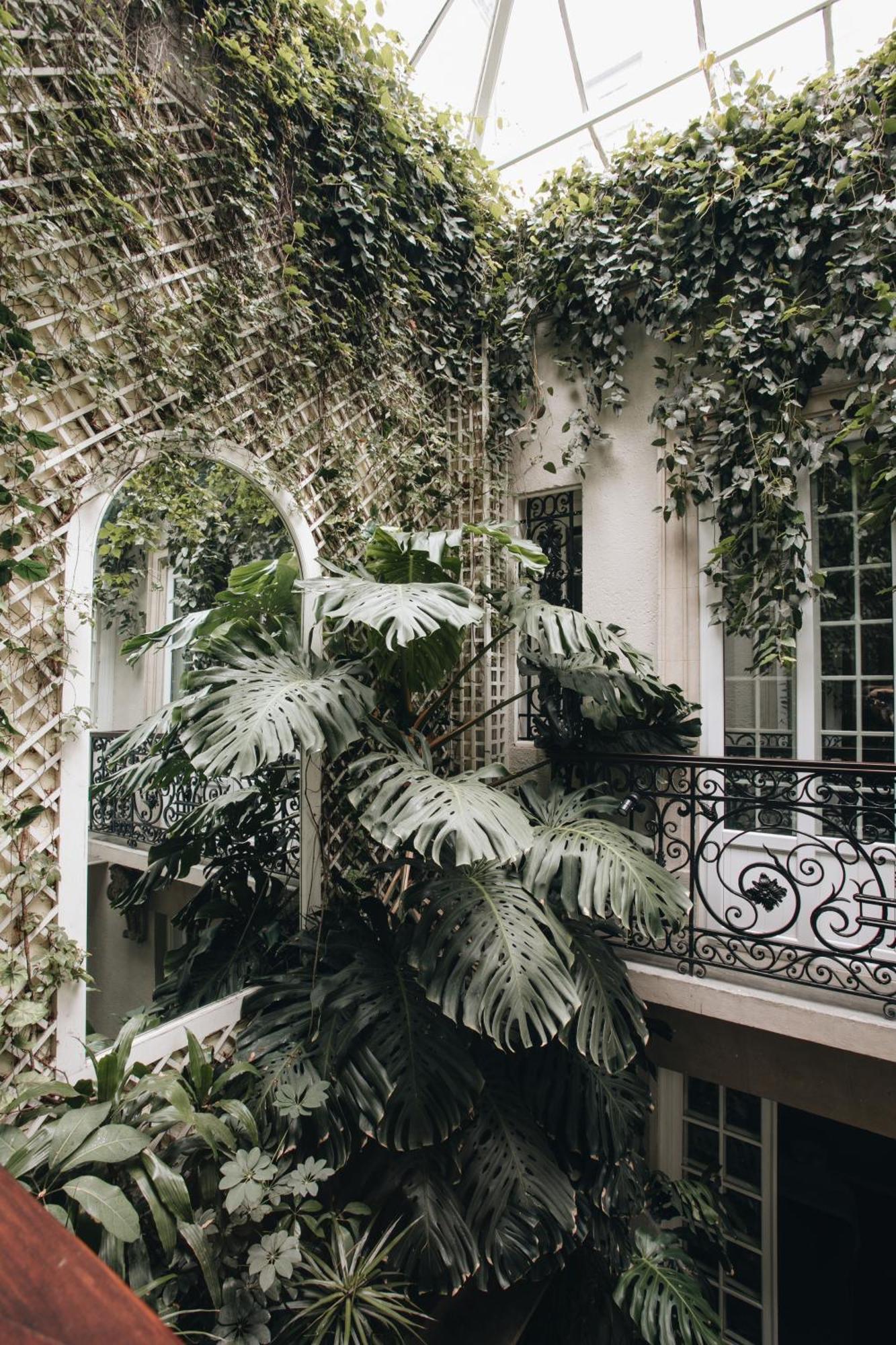 Bed & Breakfast Nima Local House Hotel & Spa Mexico City