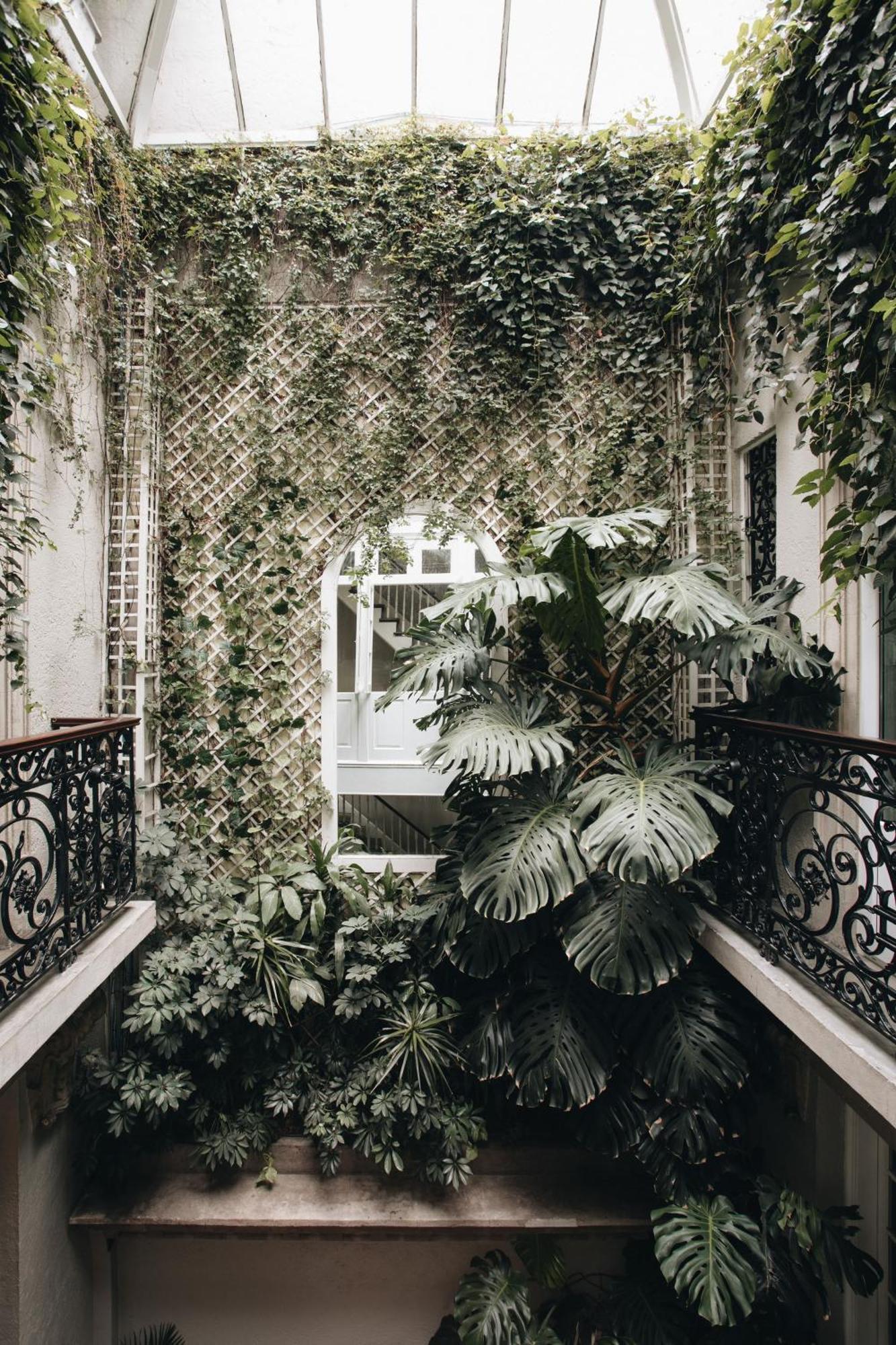 Nima Local House Hotel & Spa Bed & Breakfast Mexico City