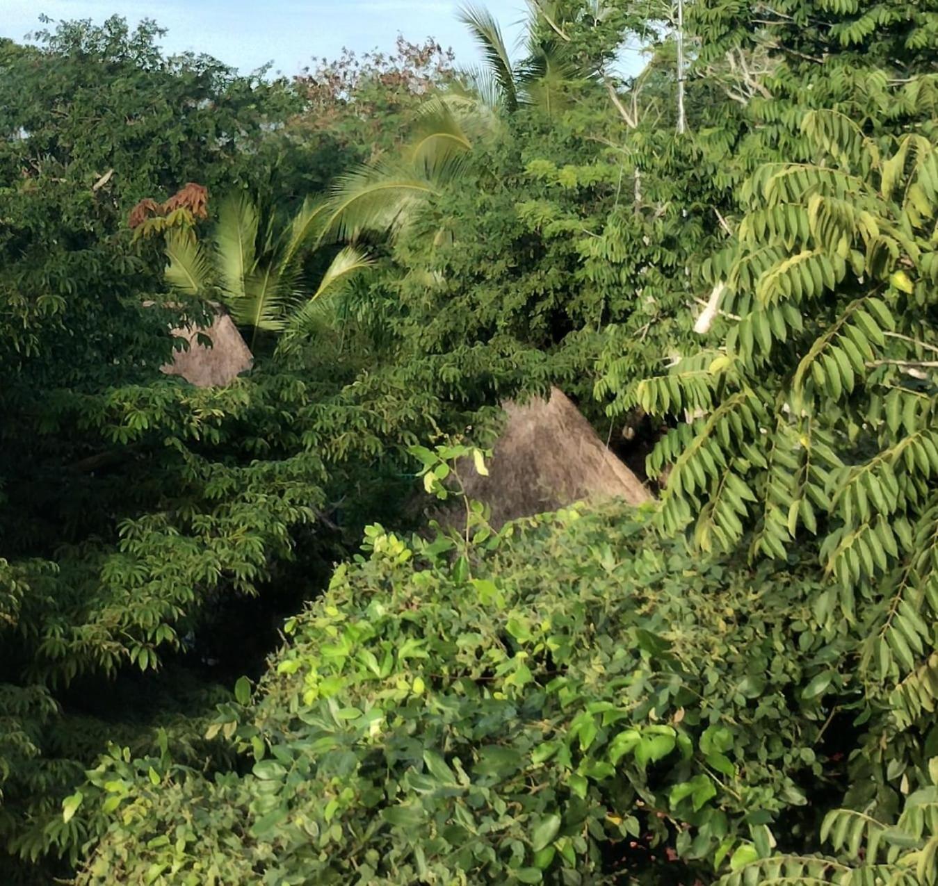 Hotel Y Museo Aldea Maya Toktli Origenes - Village, Alberca, Wifi Starlink, Tour Museo *