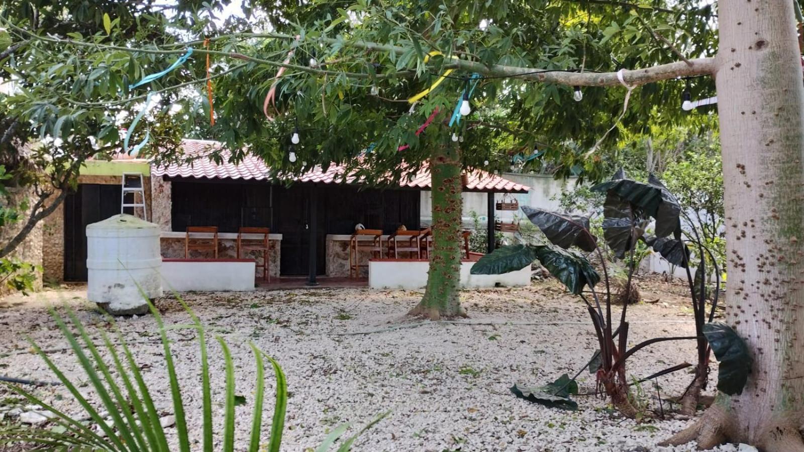 Y Museo Aldea Maya Toktli Origenes - Village, Alberca, Wifi Starlink, Tour Museo