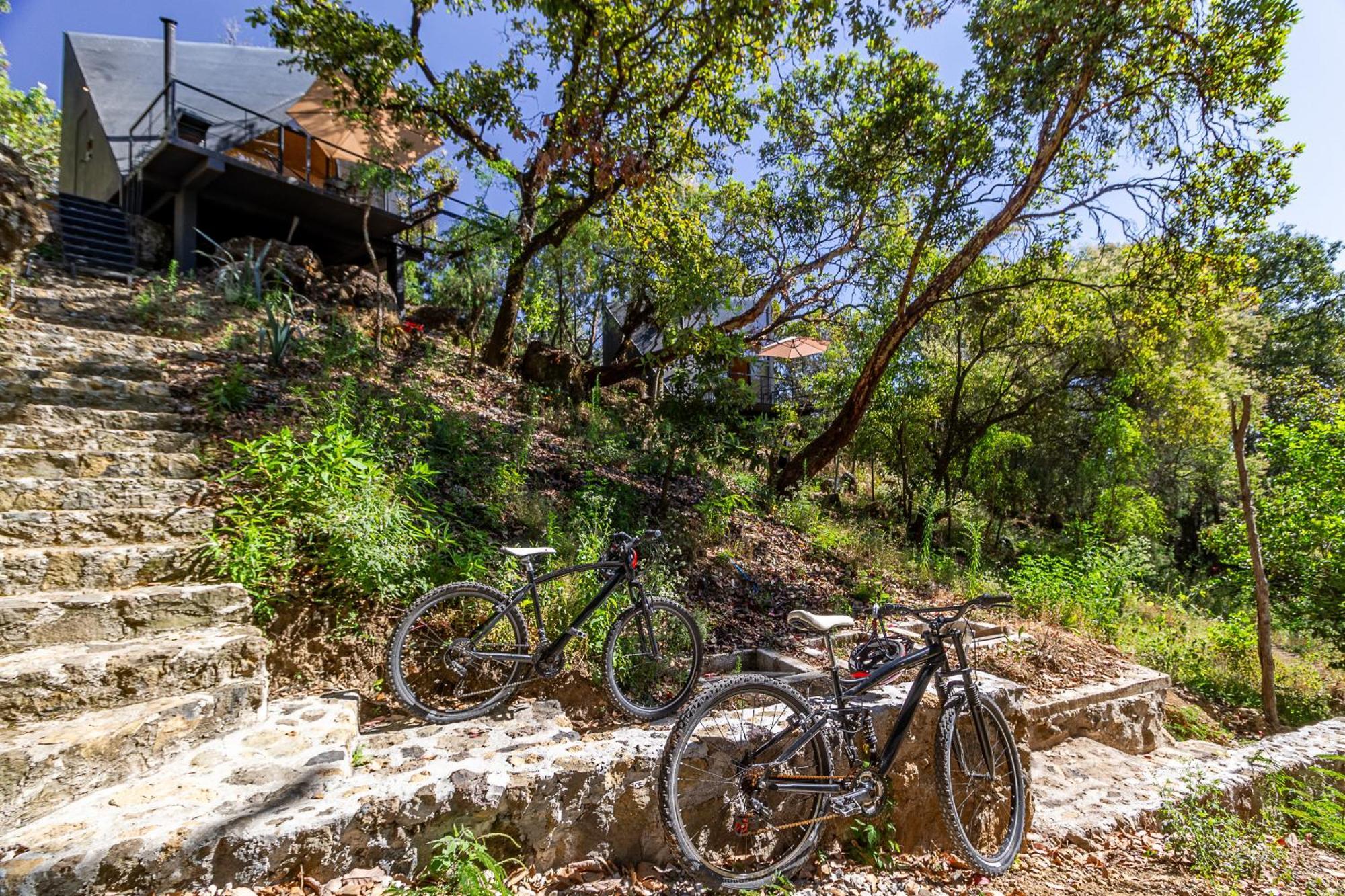 Grasshopper Campsite Cuautla (Morelos)