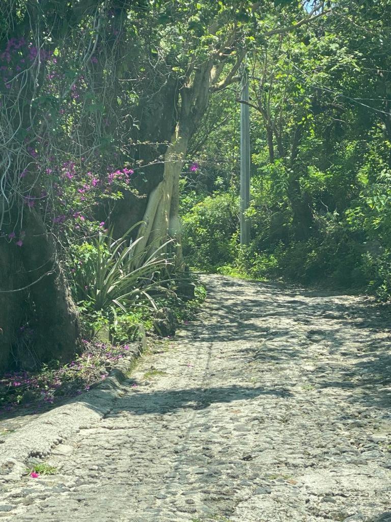 Casa En El Bosque, Relajate Y Disfruta La Naturaleza