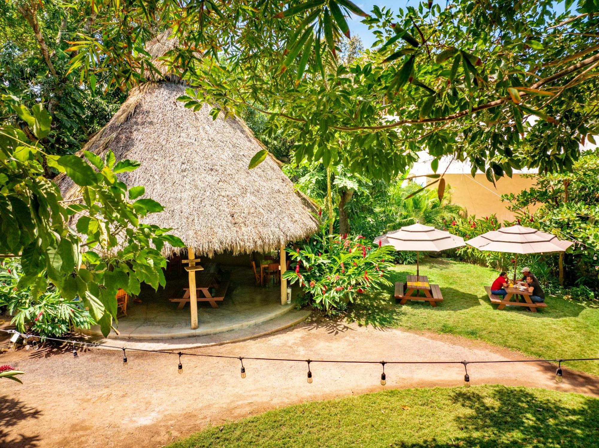 Hotel Hotel Villas Sayulita 2*