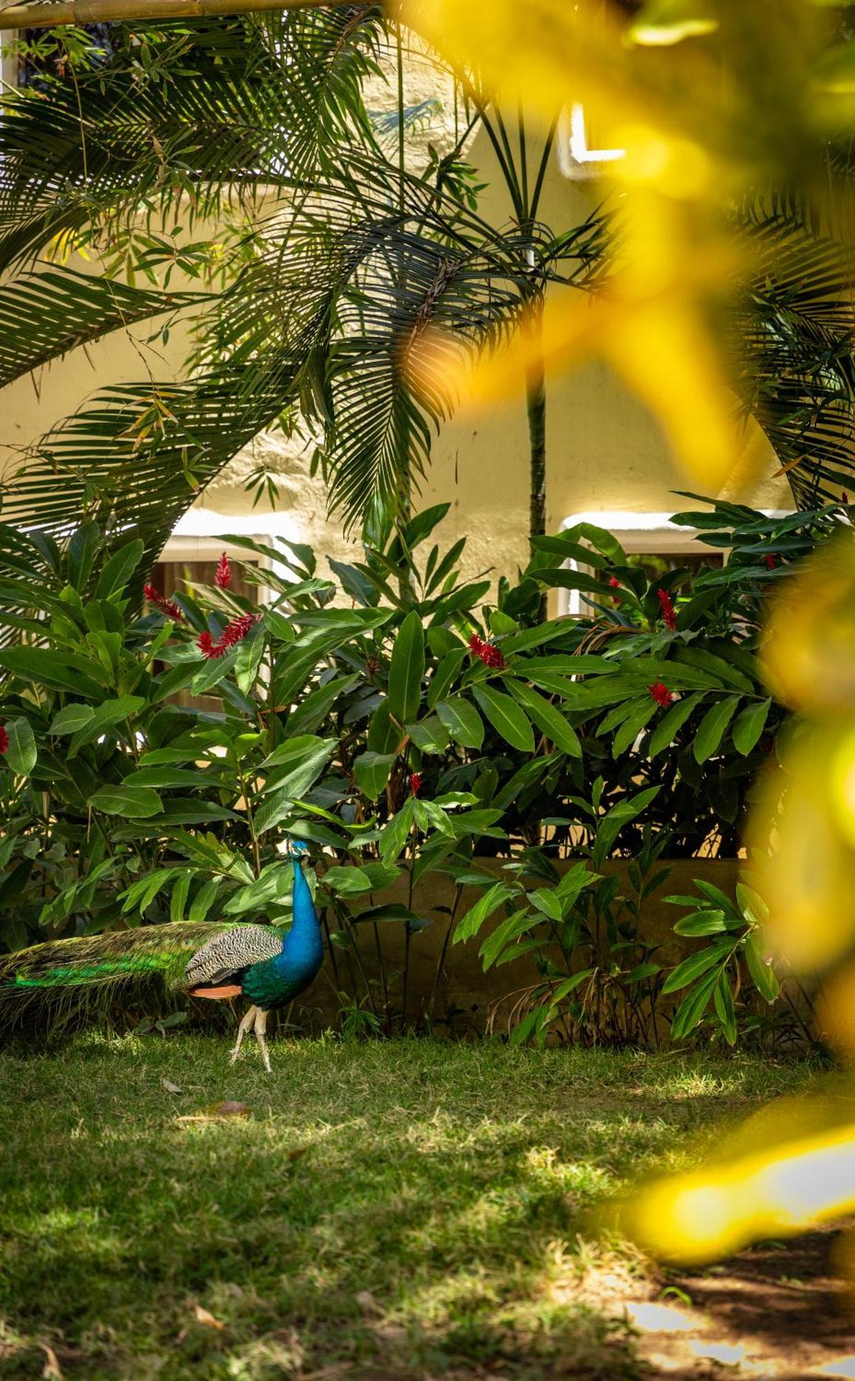 Hotel Villas Sayulita