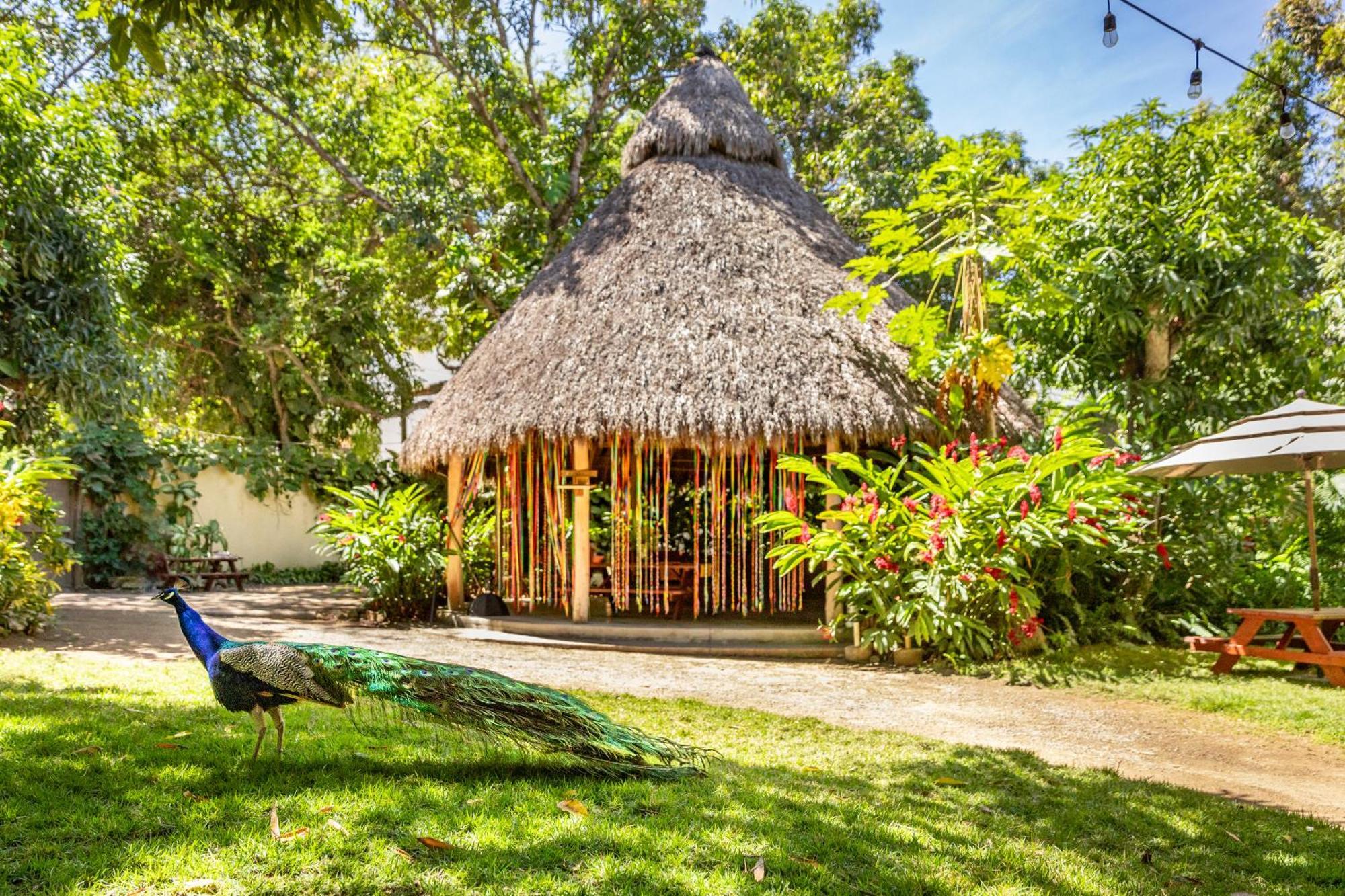 Hotel Villas Sayulita Hotel