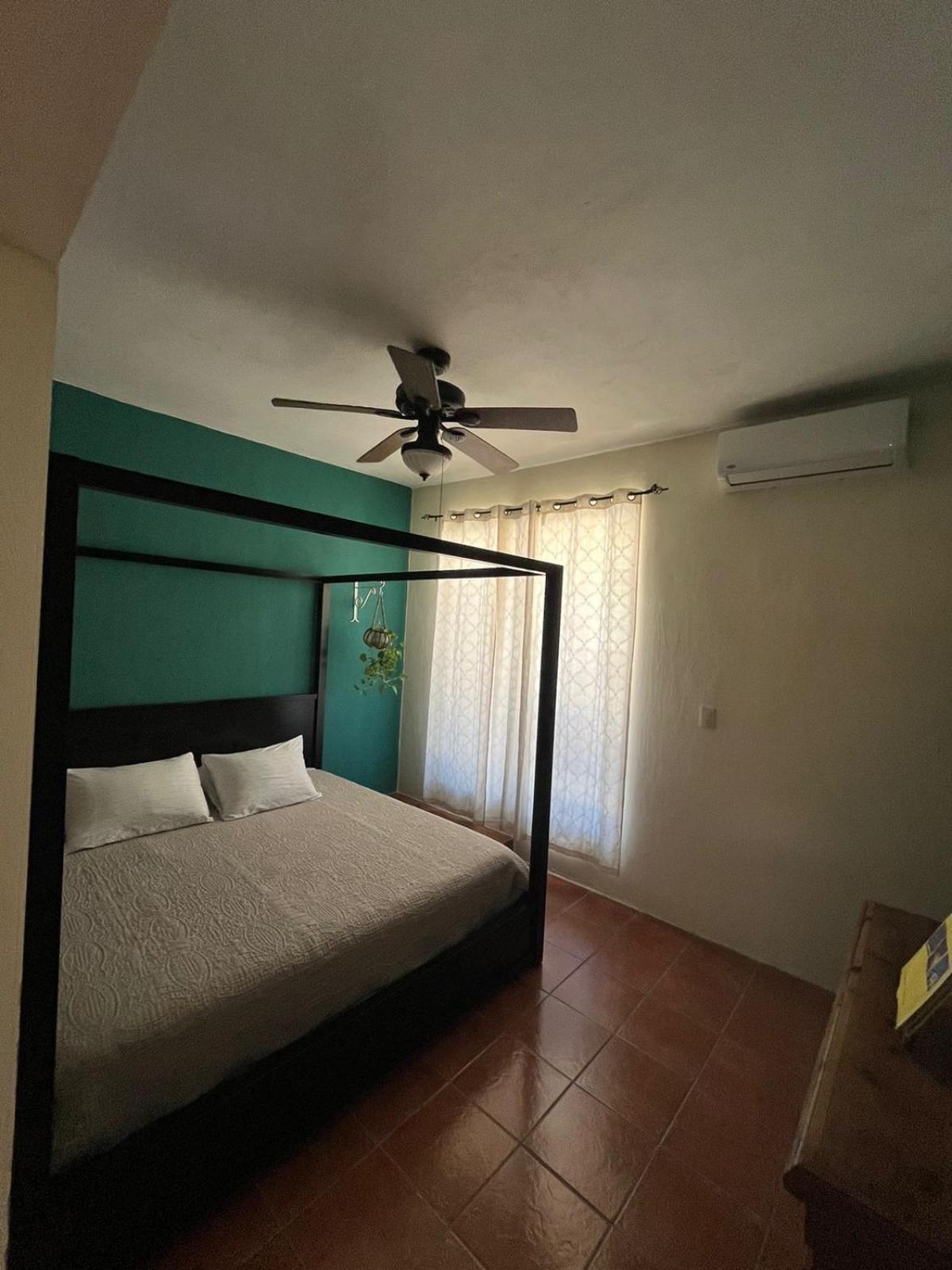 Apartment Completo