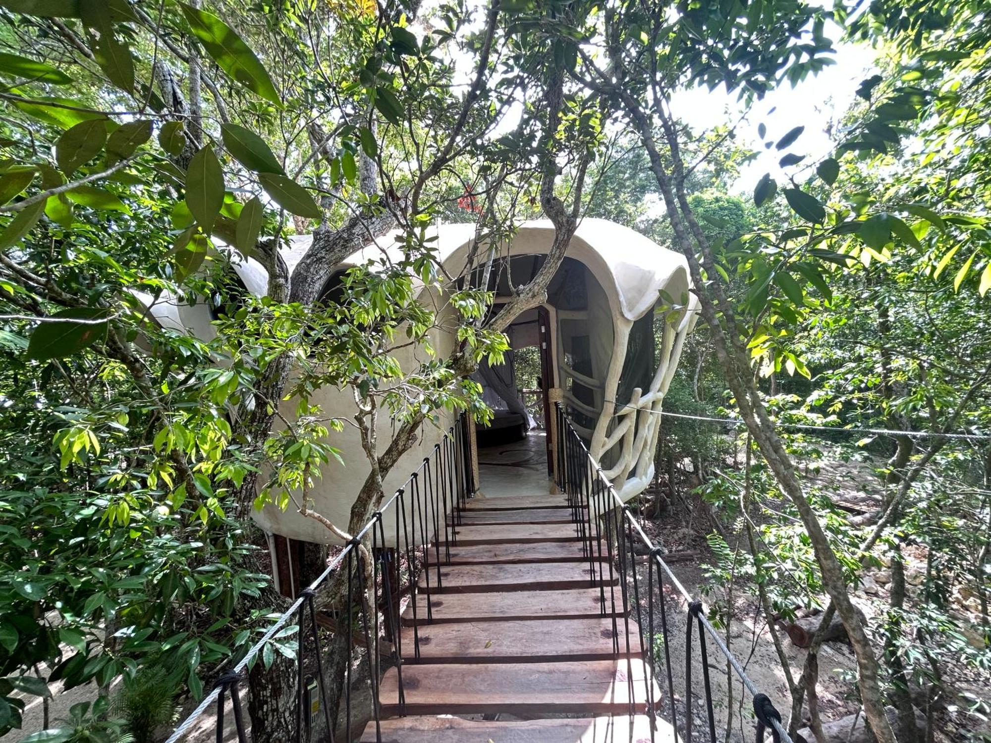 Ikalar * Akumal