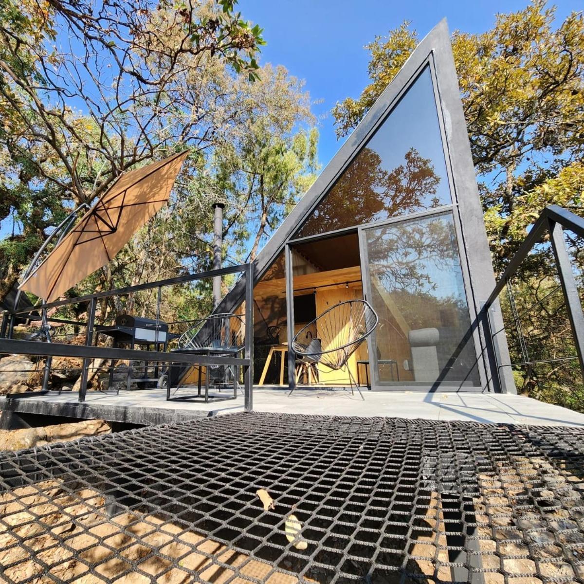 Grasshopper Shield Apartment *
