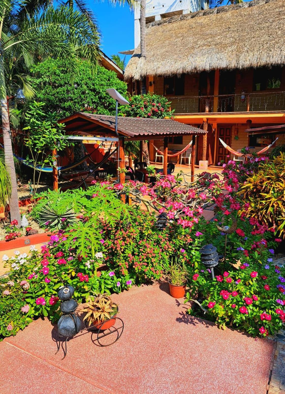 Hotelito Swiss Oasis - Playa Zicatela - Adults Only 3*