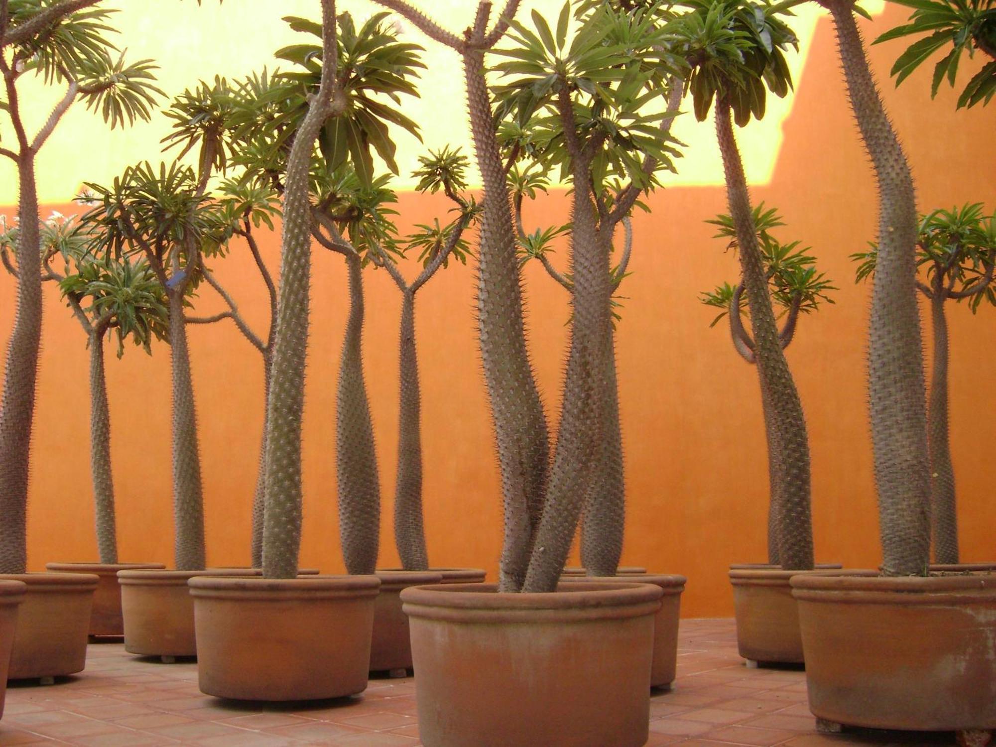 Boutique Casareyna Puebla