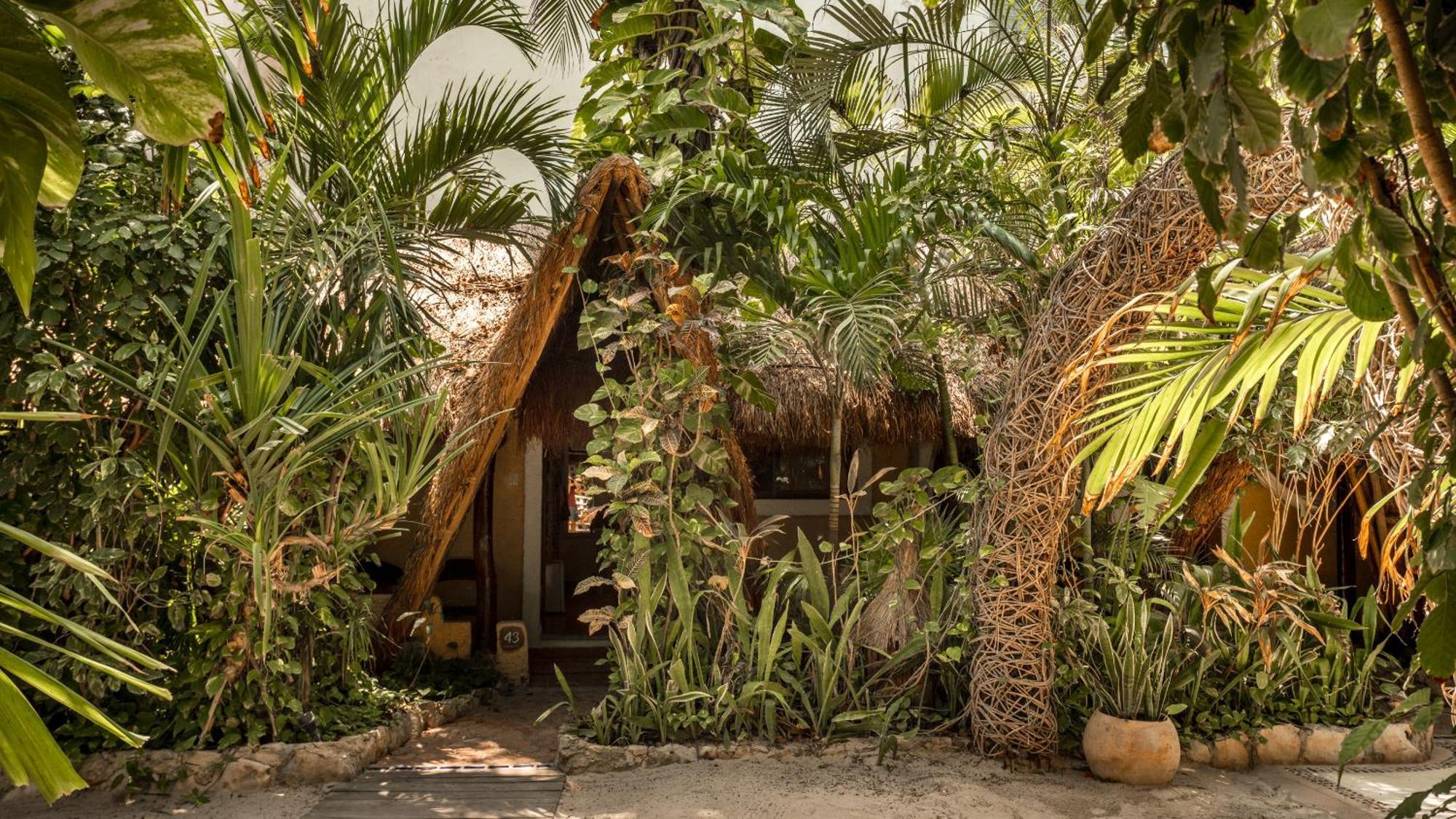 Hotel Casa Colibri