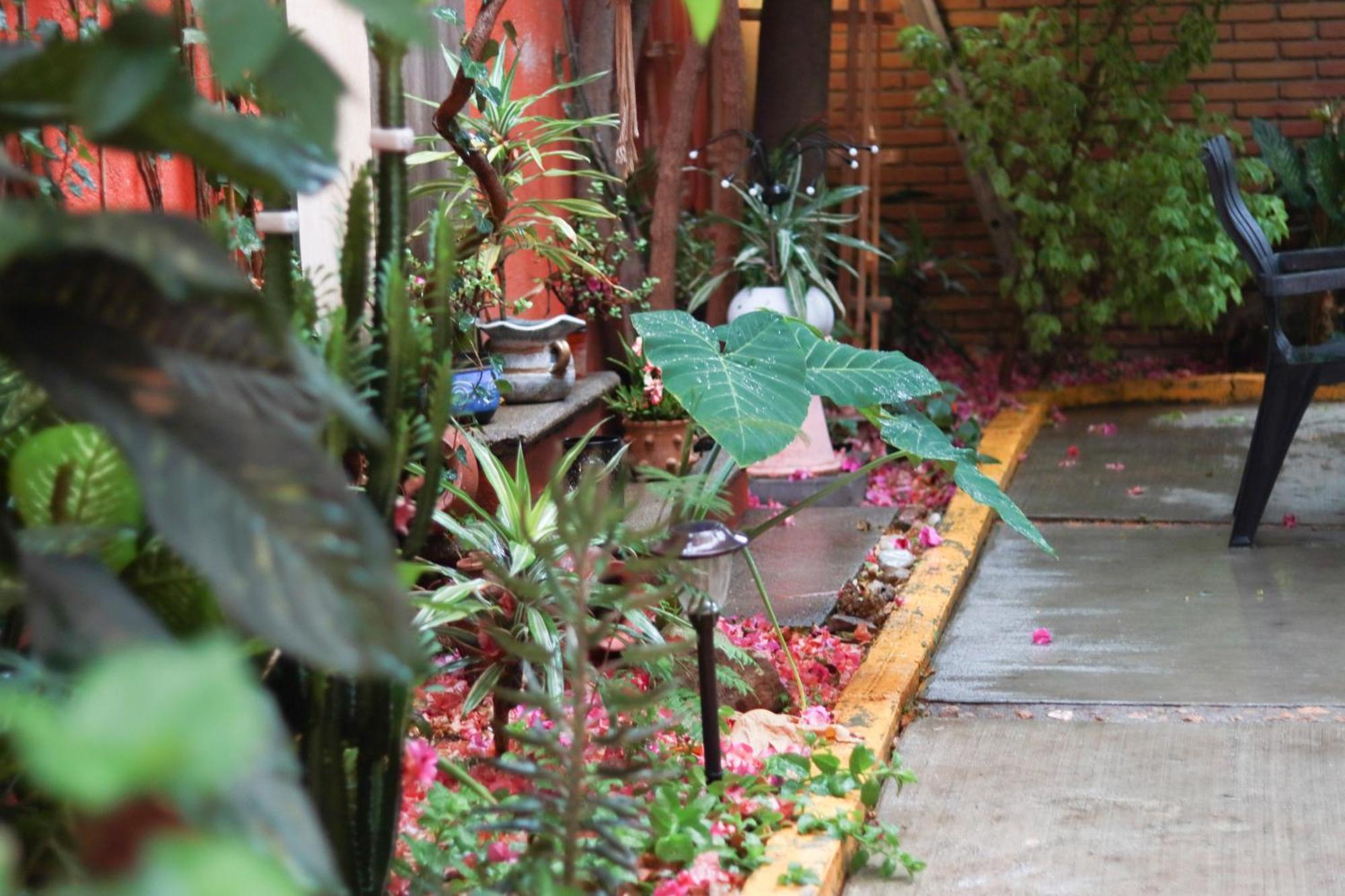 Apartment Casa Guanab Guest House *