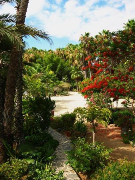 Hacienda Todos Santos Hotel