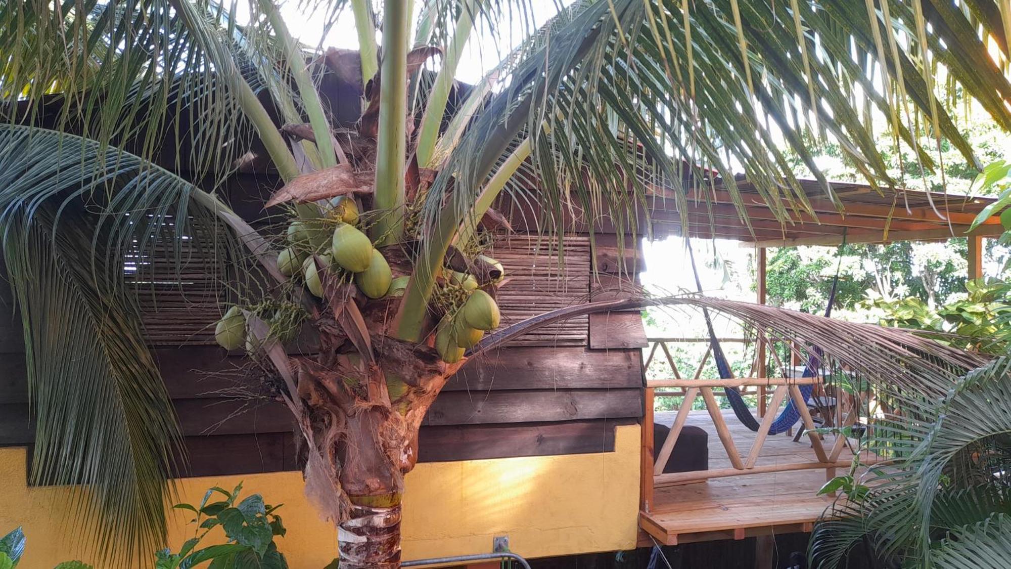 Lodge Casa Gio