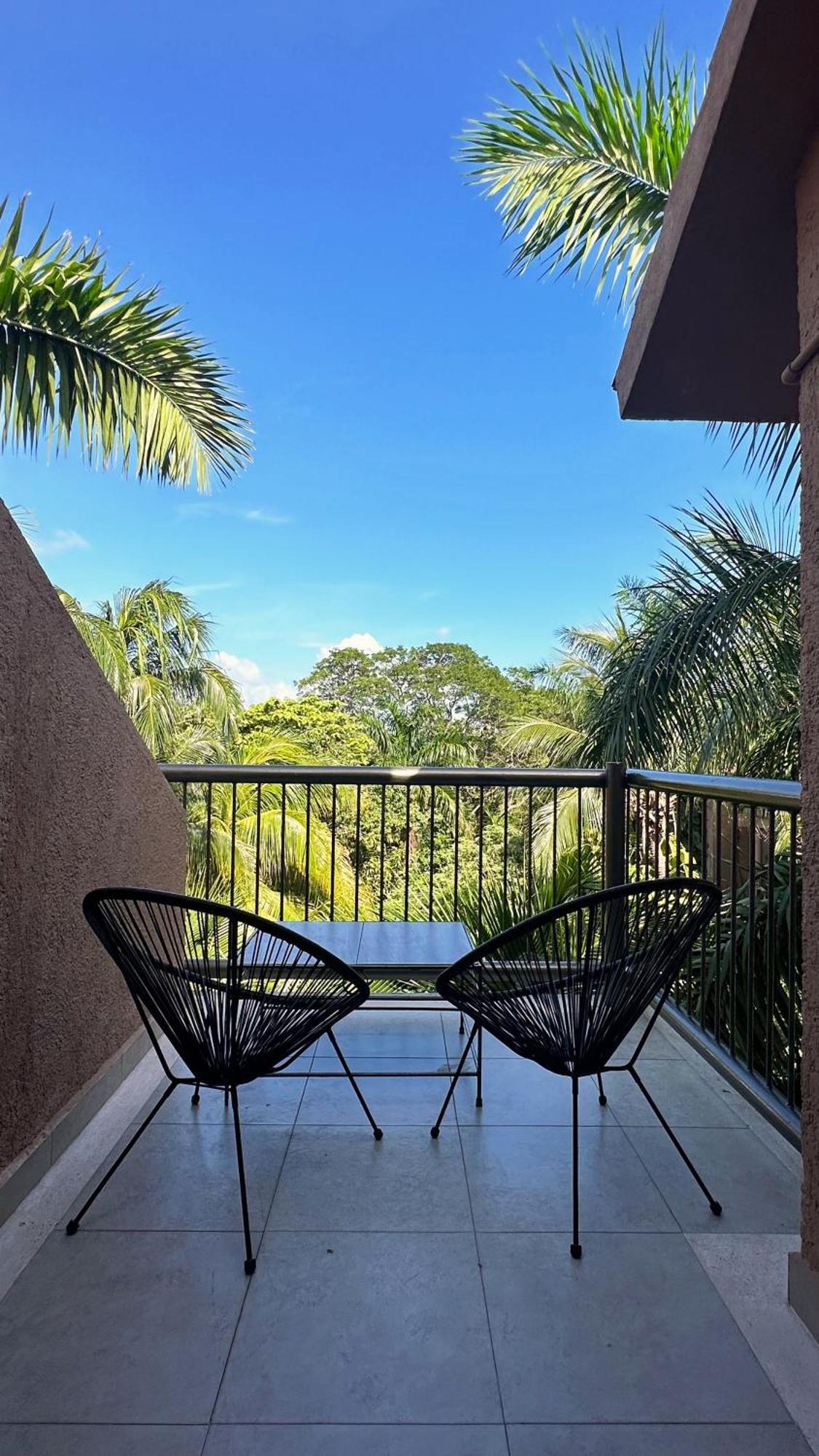 Tukan Playa del Carmen