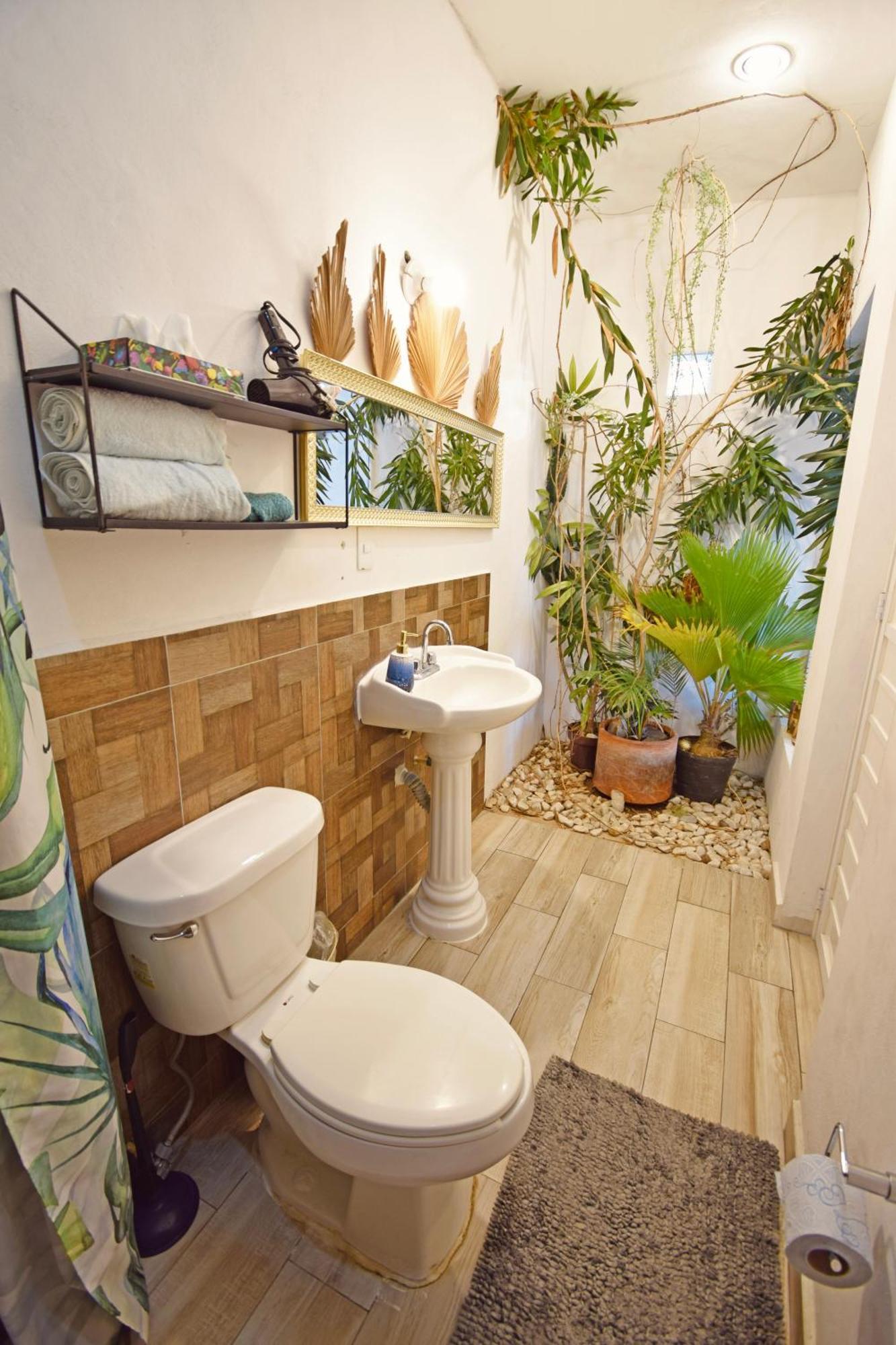 Casa Nomis