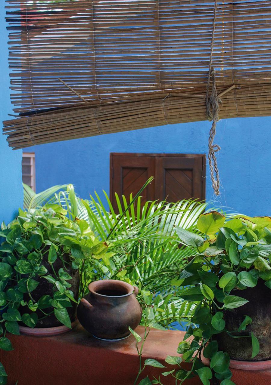 Casa Azul San Agustinillo