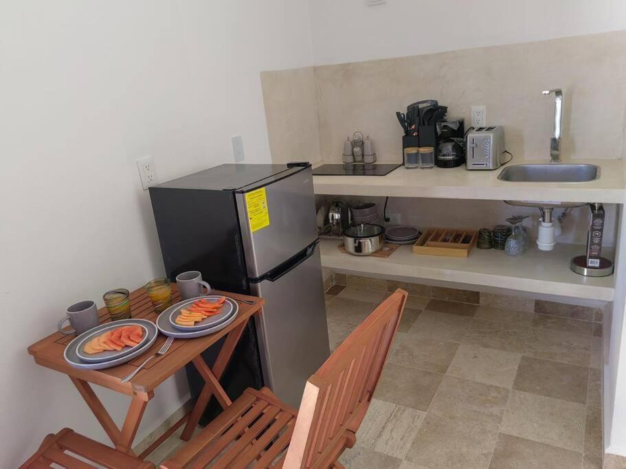 New Loft In Downtown Apartment Bucerias