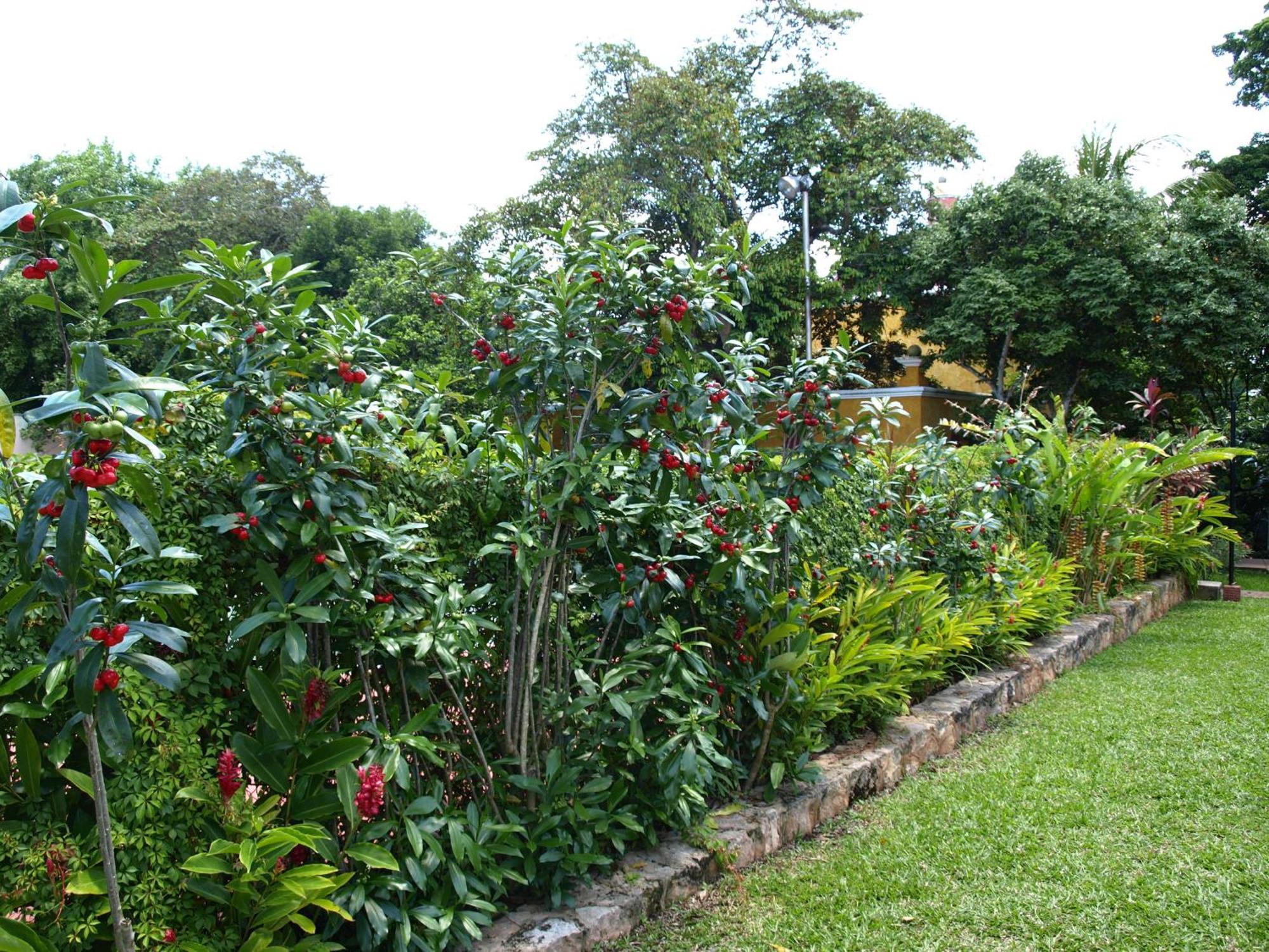 Ecotel Quinta Regia Valladolid (Yucatan)