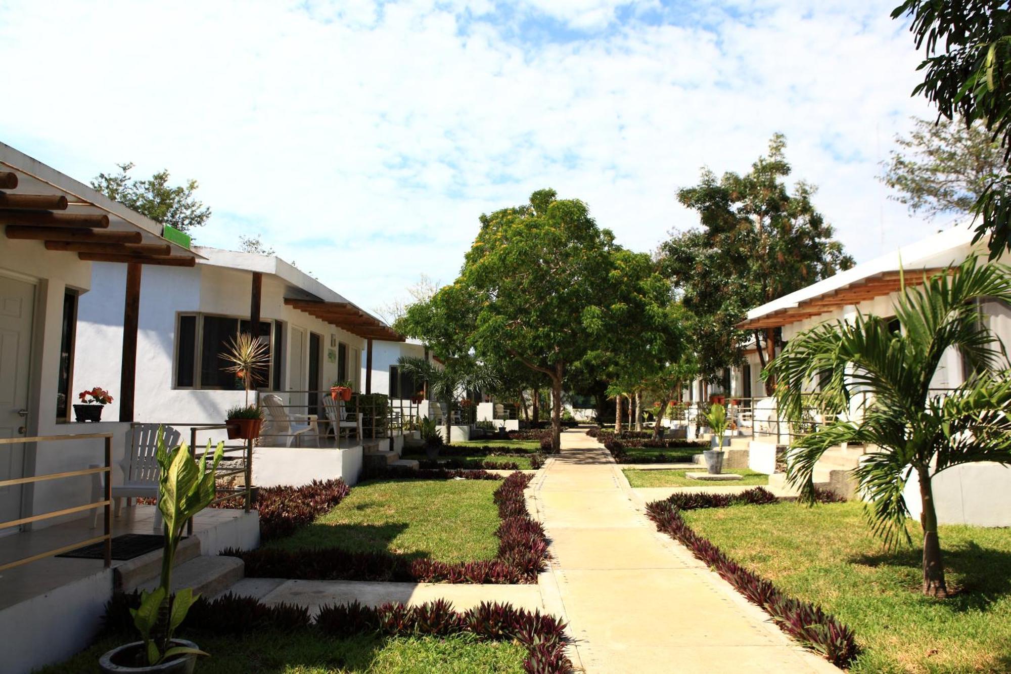 Bambu Chetumal