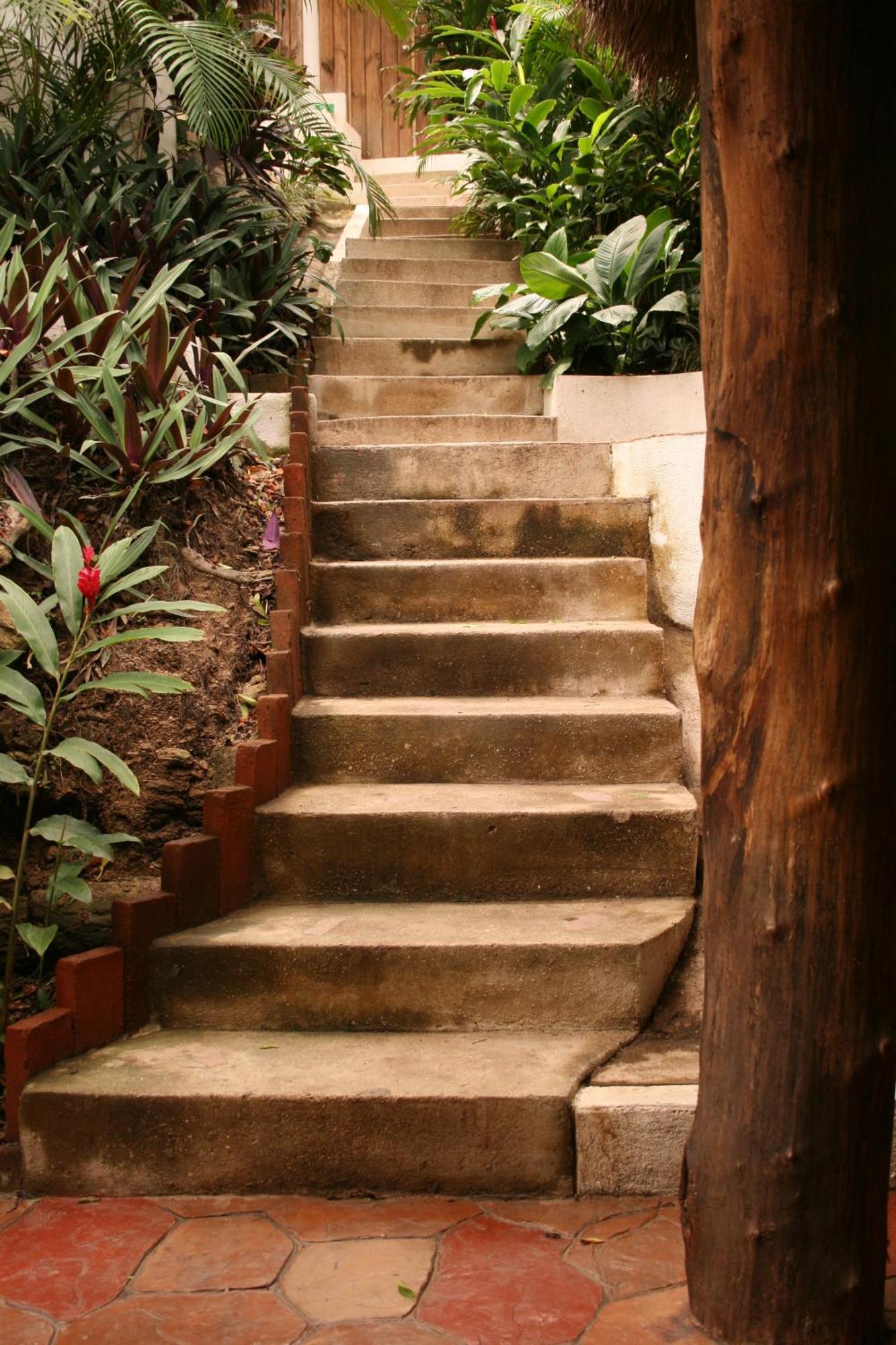 Biuzaa 3* Zipolite