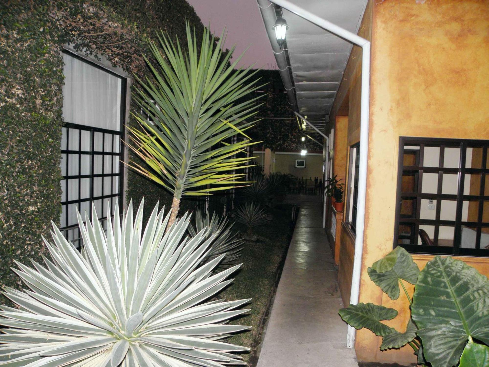 Hotel Fenix 3*