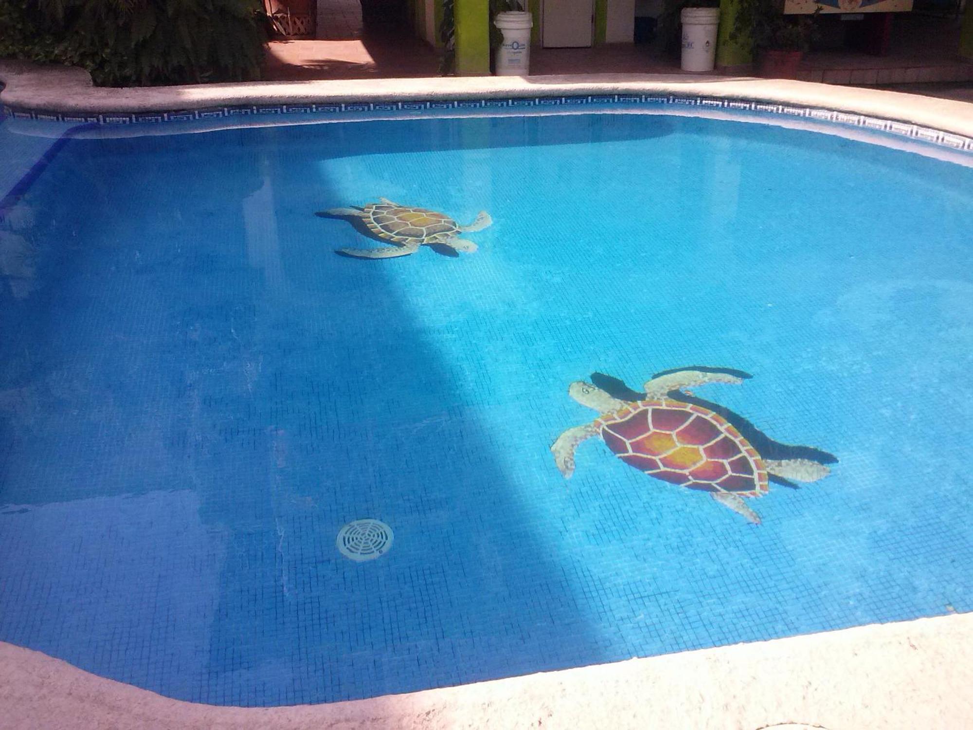 Y Islas Careyes 3* Los Ayala
