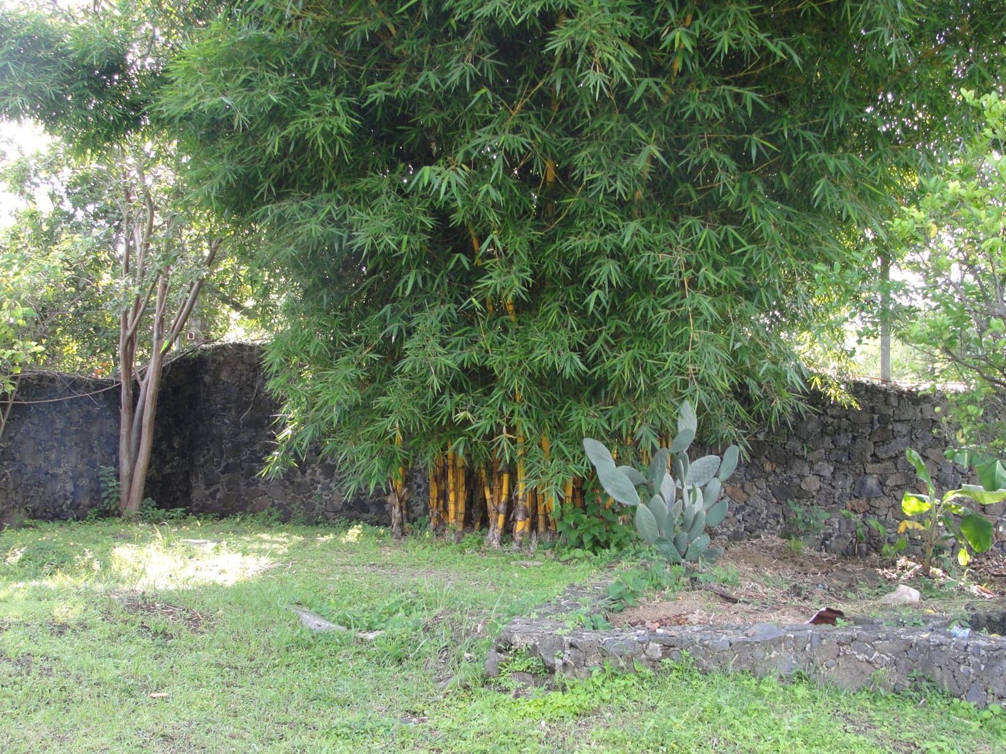 Las Casitas * Tepoztlan