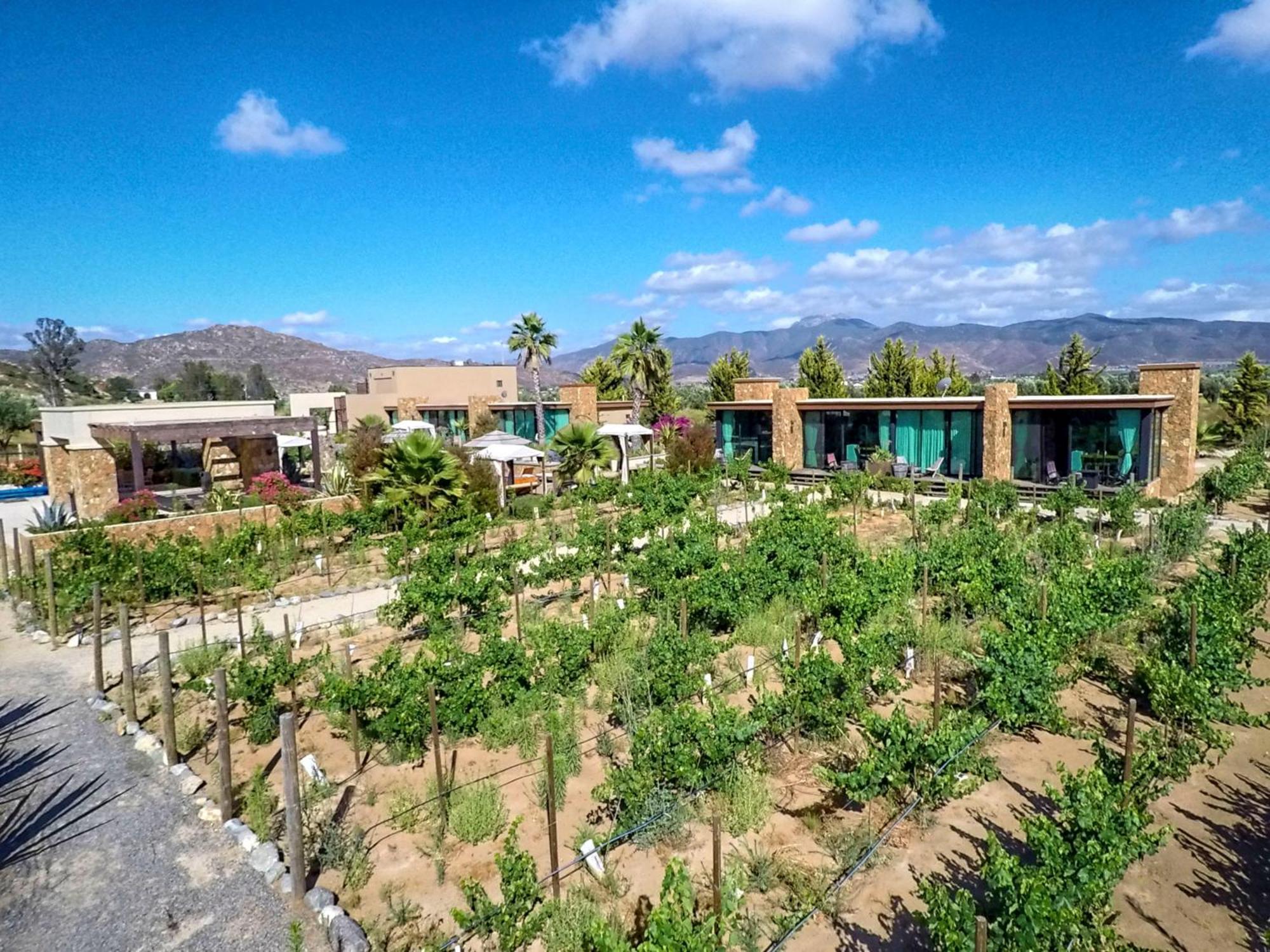 Entre Vinedos By Boutique 3*