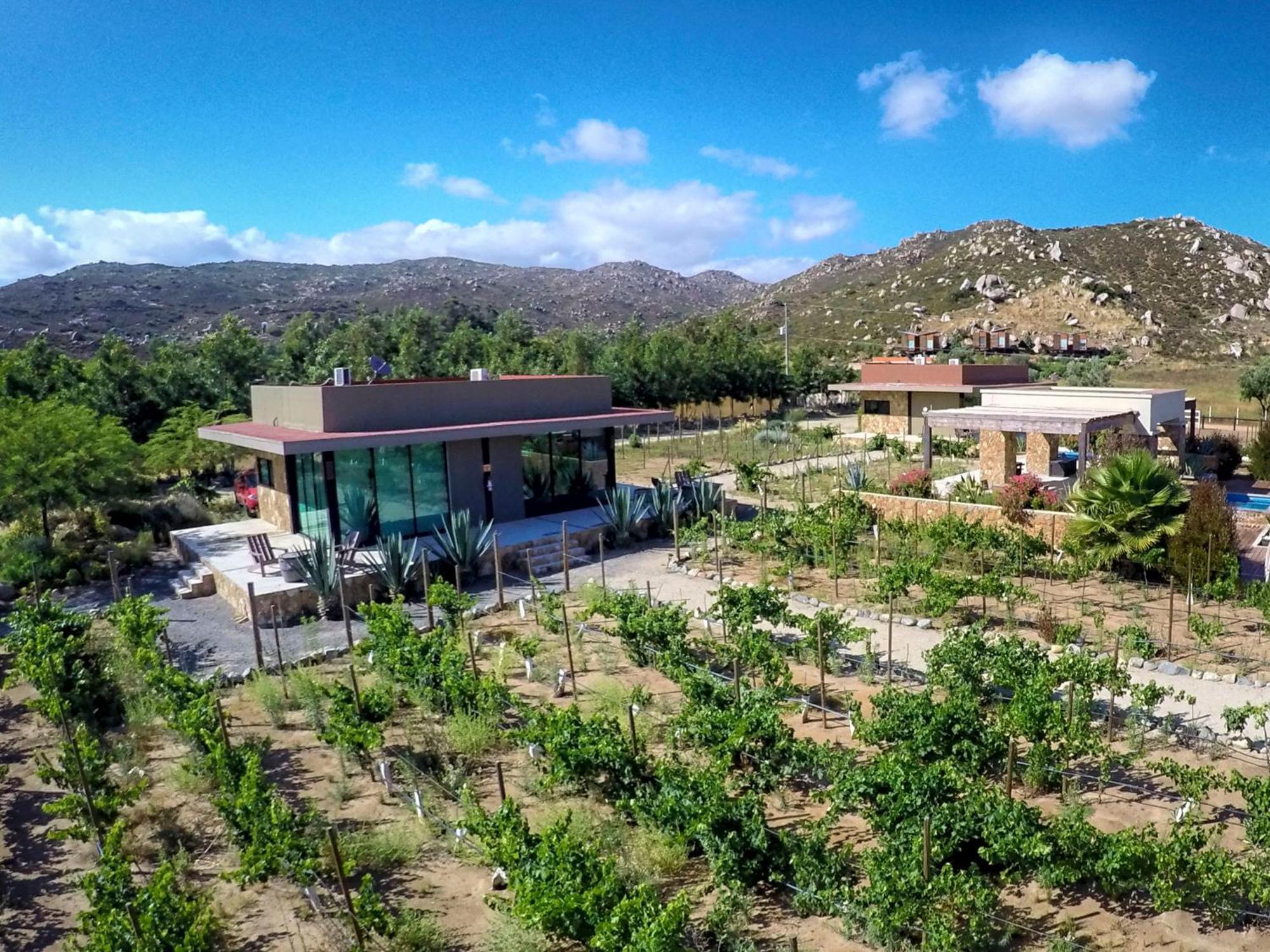 Hotel Entre Vinedos By Boutique 3*
