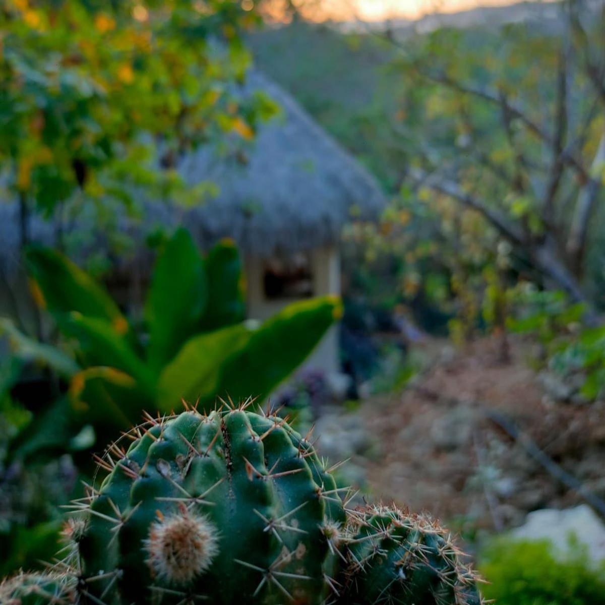 La Aldea Inn Zipolite