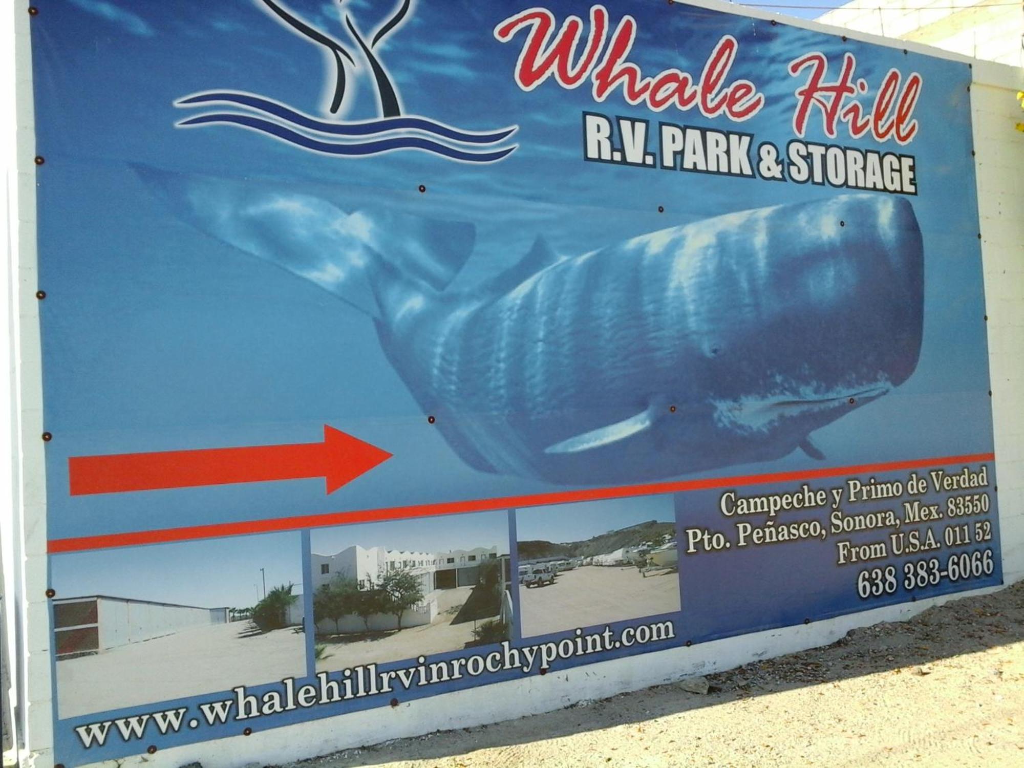 Whale Hill Aparthotel