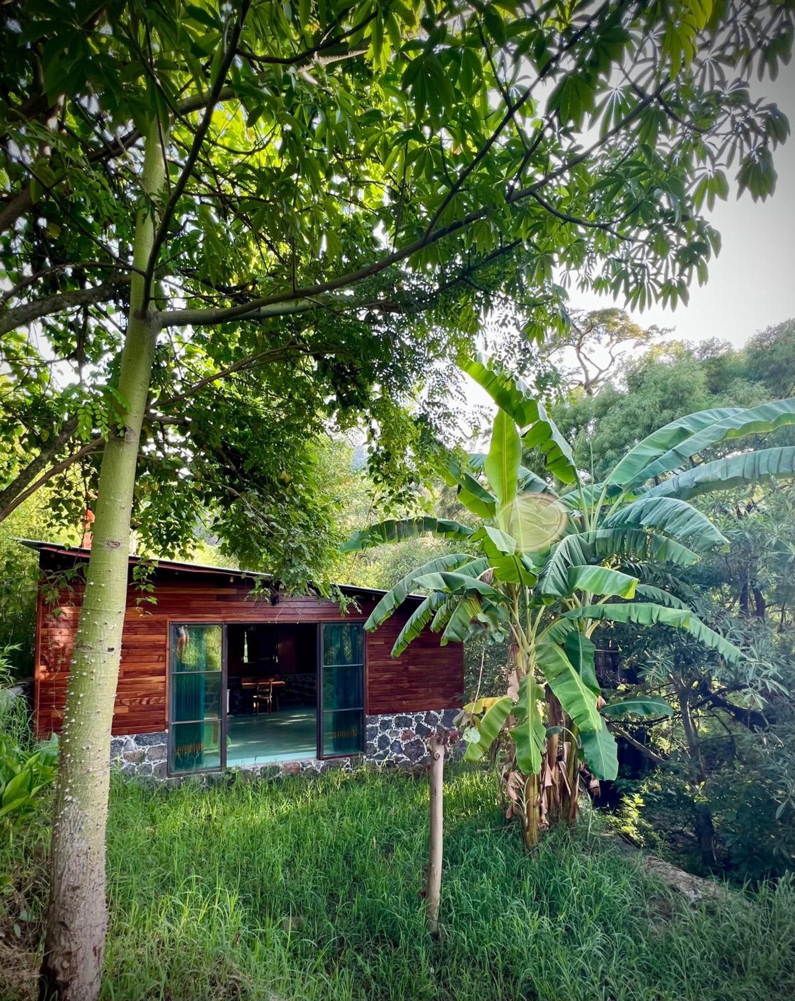Santuario Ave Fenix-cabanas Country house Tepoztlan